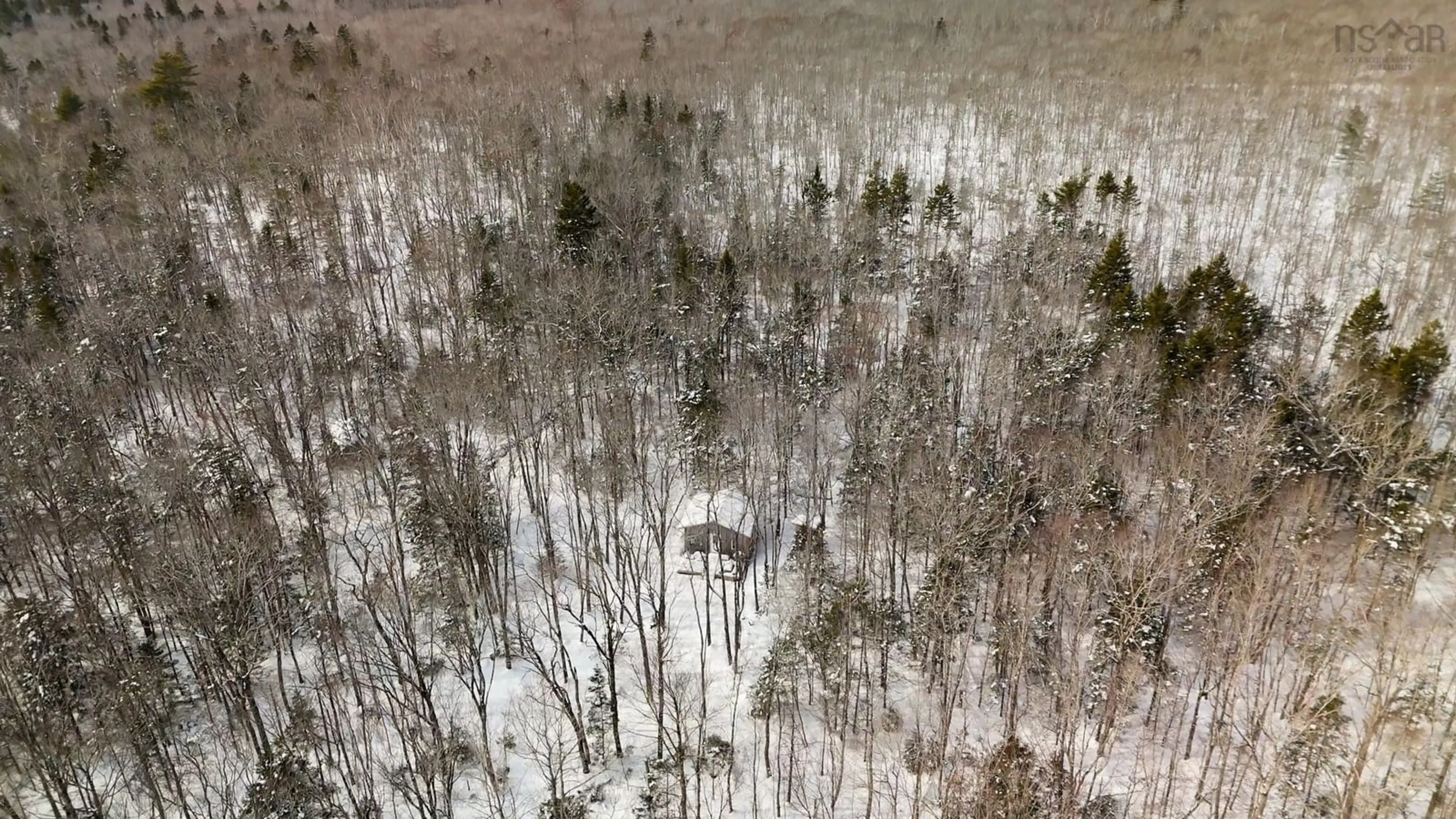 A pic from outside/outdoor area/front of a property/back of a property/a pic from drone, forest/trees view for 1542 Canaan Road Rd, Canaan Nova Scotia B0W 3M0