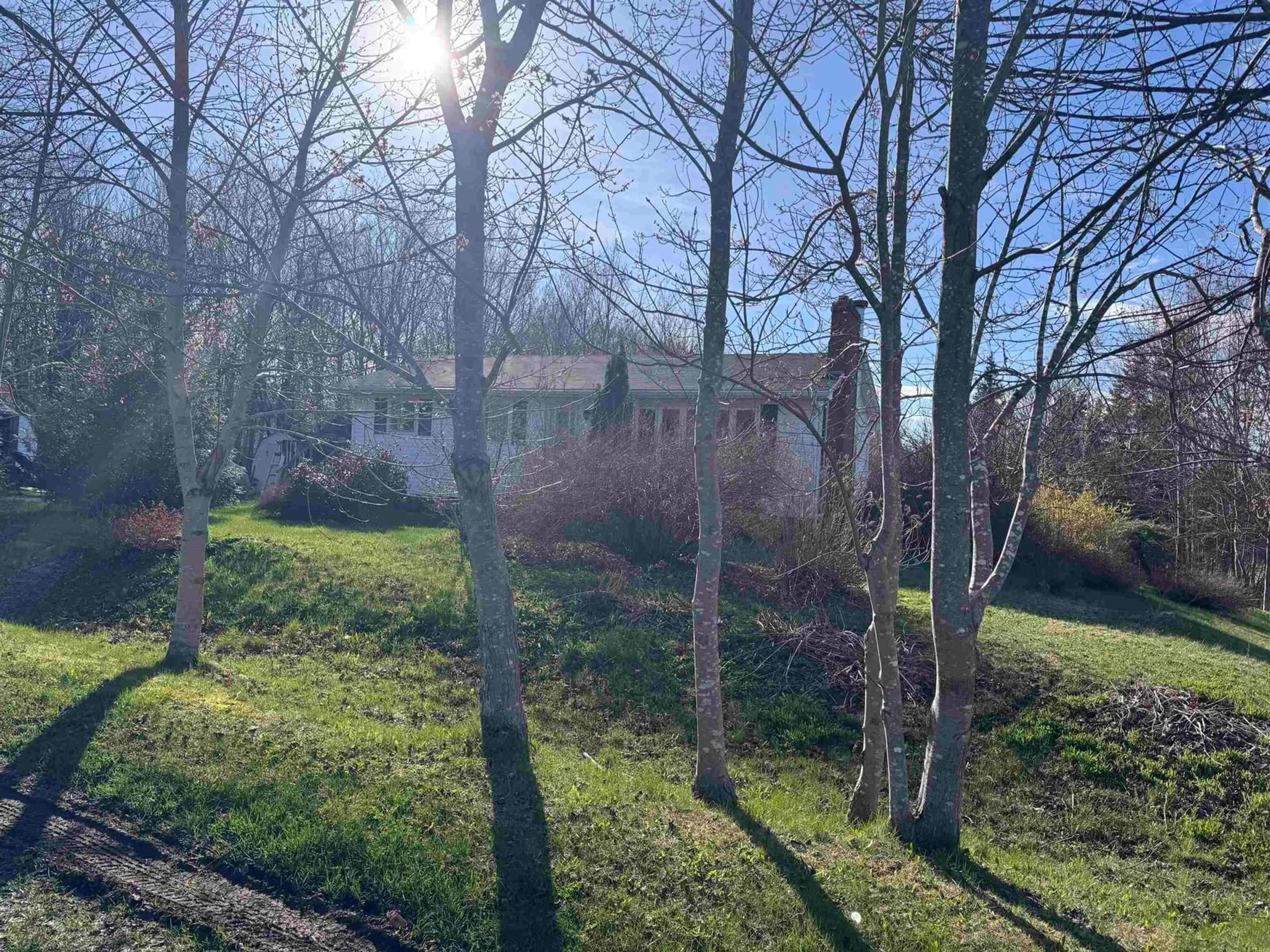A pic from outside/outdoor area/front of a property/back of a property/a pic from drone, forest/trees view for 2 Bruning St, Howie Centre Nova Scotia B1L 1G8