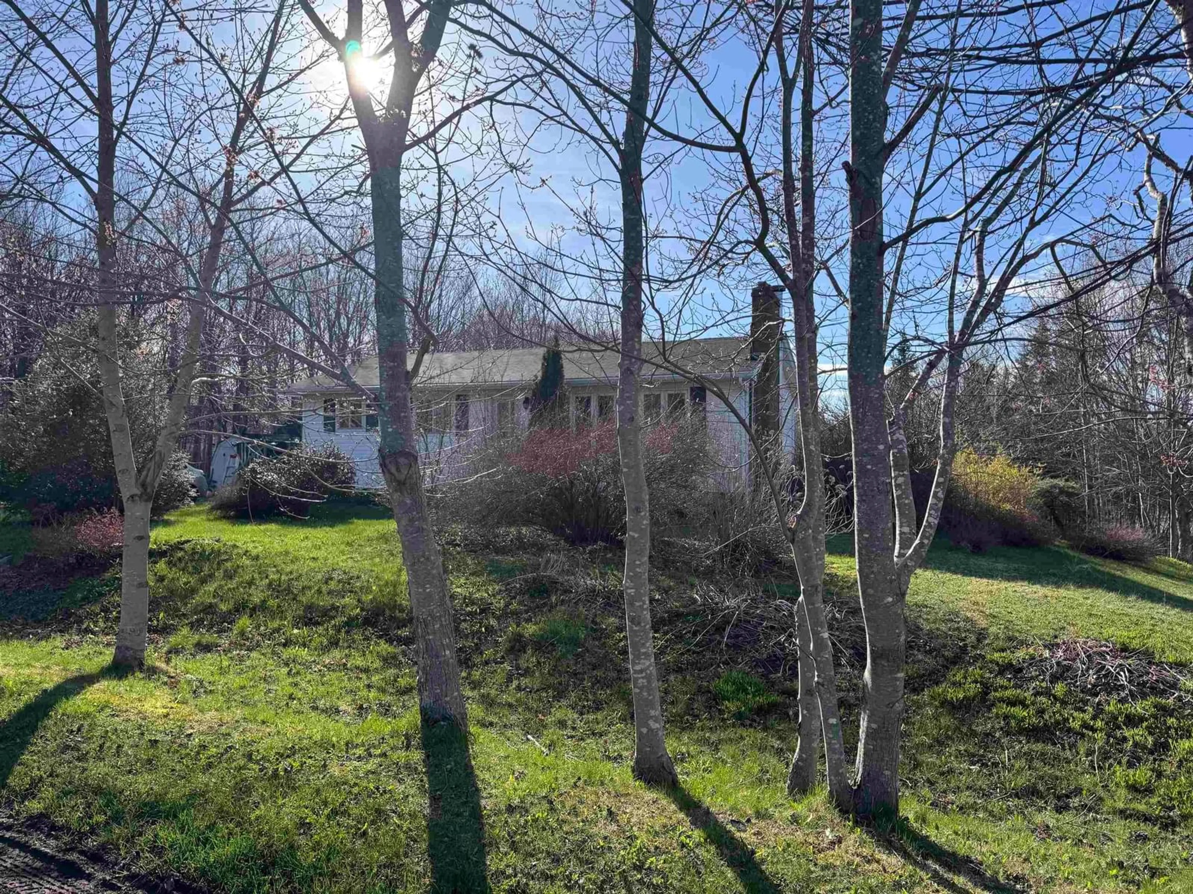 A pic from outside/outdoor area/front of a property/back of a property/a pic from drone, forest/trees view for 2 Bruning St, Howie Centre Nova Scotia B1L 1G8