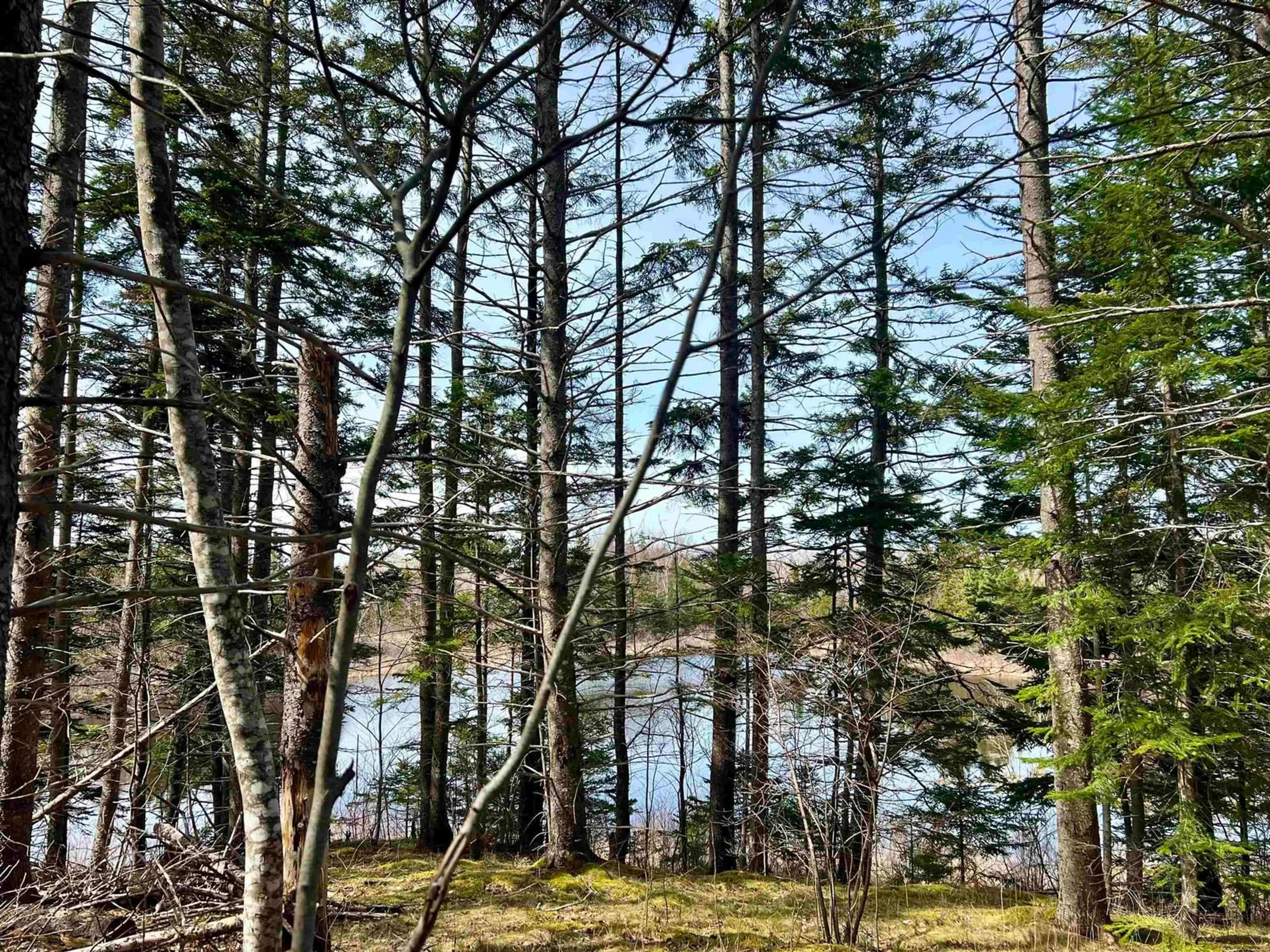 Unknown for Old Mulgrave Rd, Monastery Nova Scotia B0H 1W0