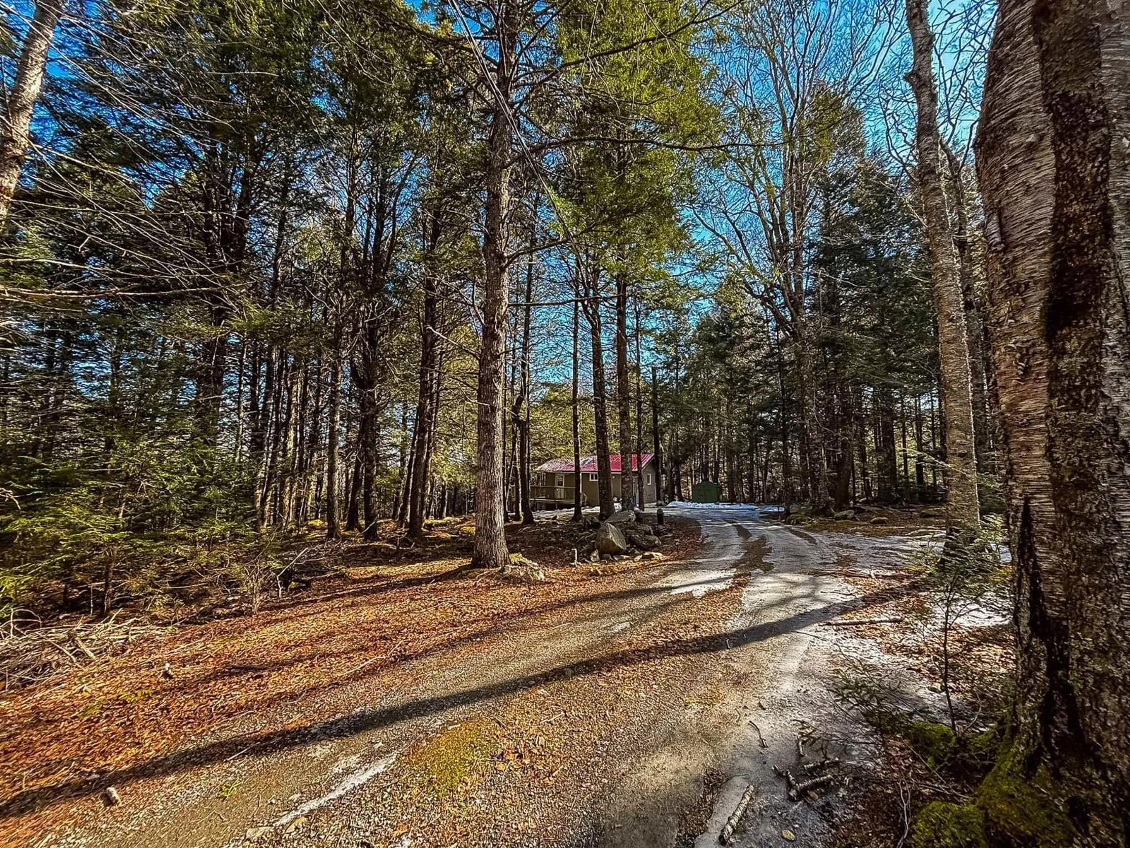 A pic from outside/outdoor area/front of a property/back of a property/a pic from drone, forest/trees view for 145 Sunset Linkway, Labelle Nova Scotia B0T 1E0