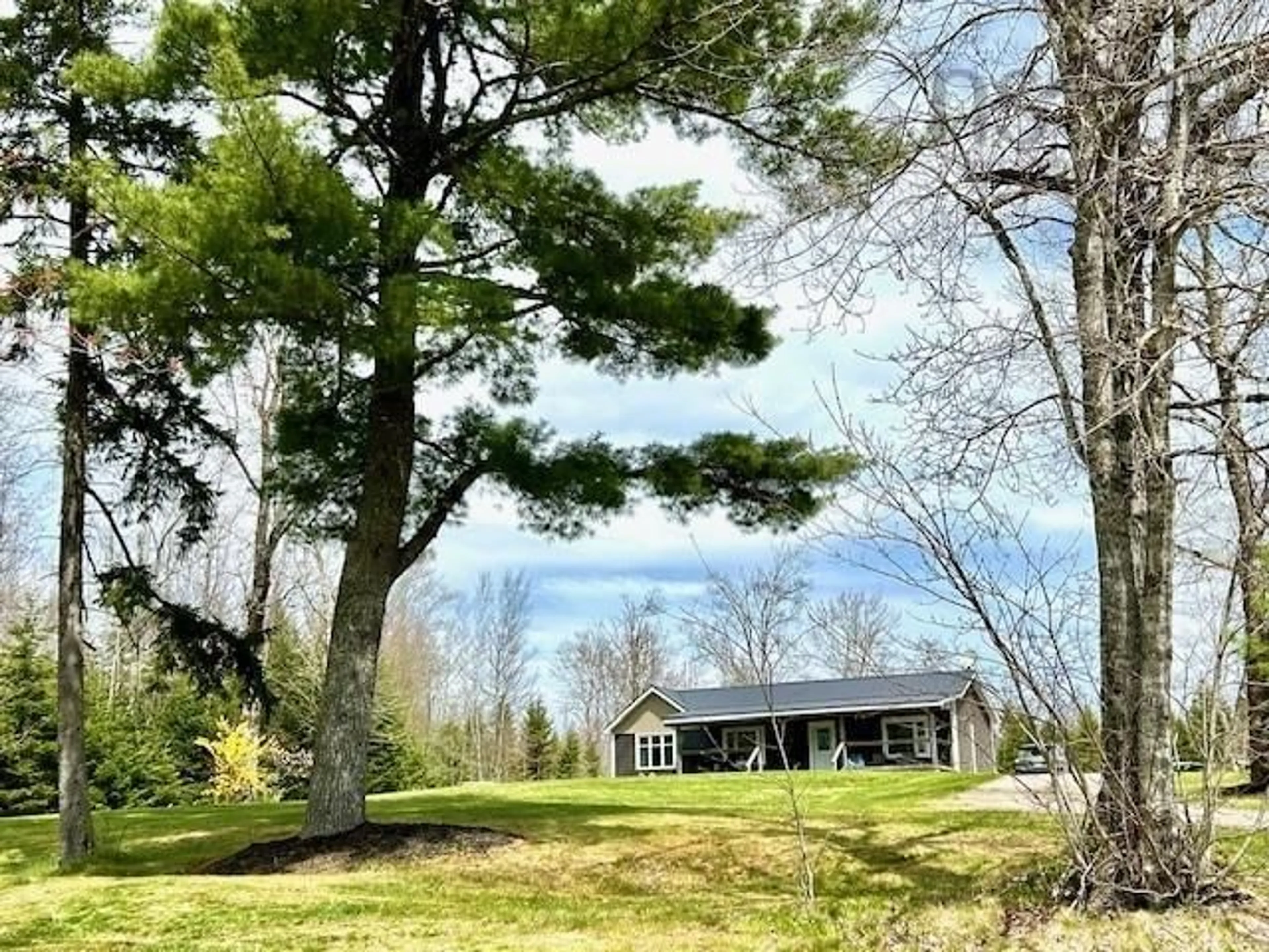 A pic from outside/outdoor area/front of a property/back of a property/a pic from drone, forest/trees view for 289 South Branch Rd, Middle Stewiacke Nova Scotia B0N 2J0