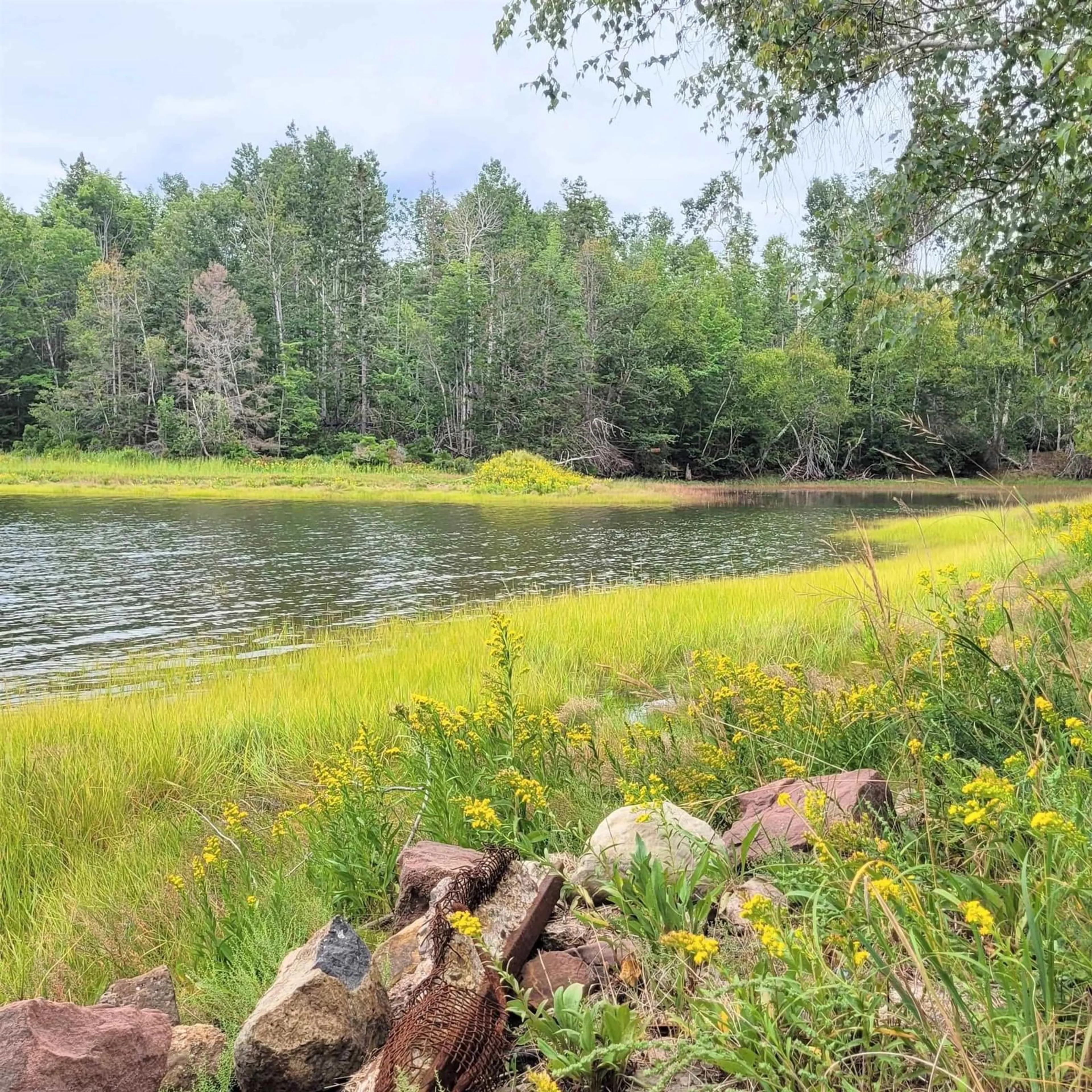 Unknown for 432 Stewart Rd, Pugwash River Nova Scotia B0K 1L0