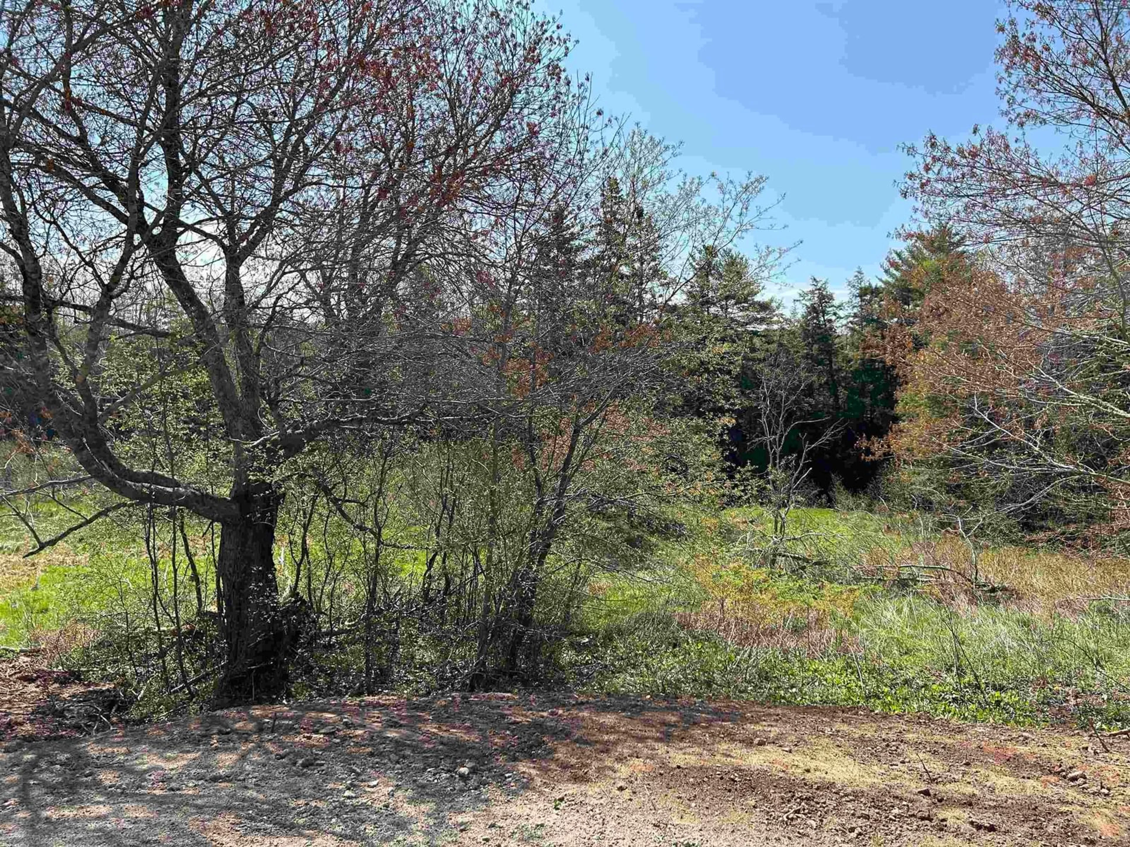 A pic from outside/outdoor area/front of a property/back of a property/a pic from drone, forest/trees view for 14 Loop Rd, Gays River Nova Scotia B4G 2A1