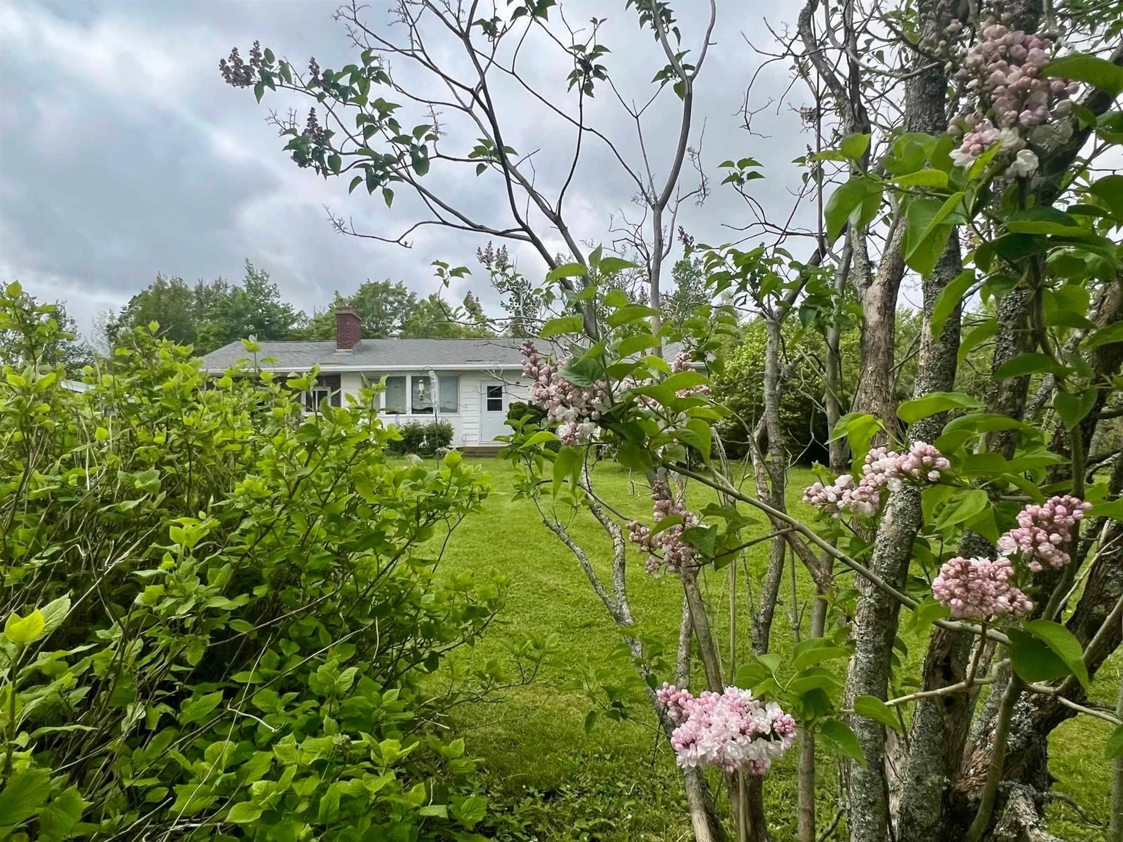 A pic from outside/outdoor area/front of a property/back of a property/a pic from drone, forest/trees view for 1951 Frasers Mountain Rd, Frasers Mountain Nova Scotia B2H 5C4