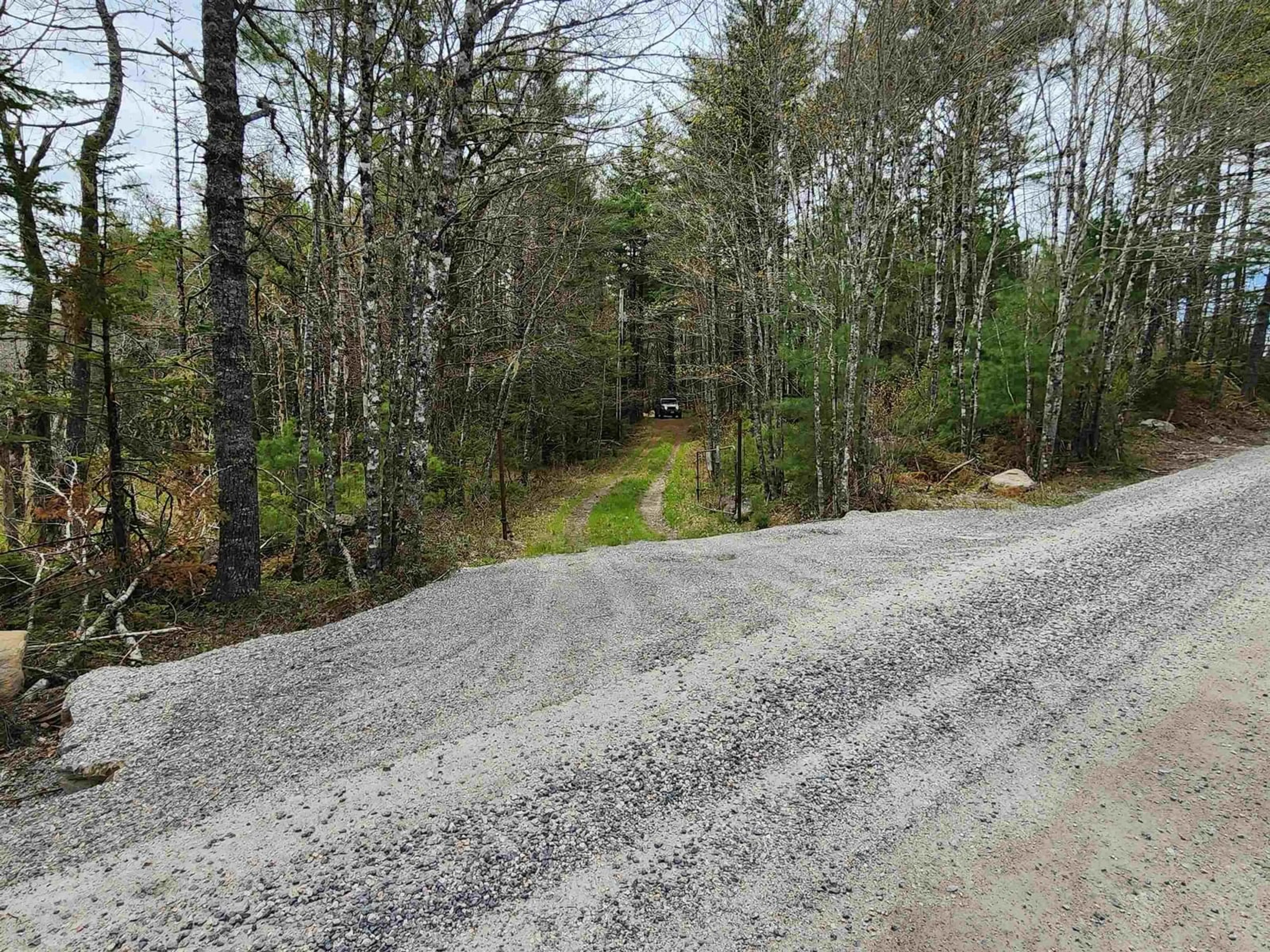 A pic from outside/outdoor area/front of a property/back of a property/a pic from drone, forest/trees view for 7278 Upper Clyde Road,Upper Clyde, Upper Clyde Road Nova Scotia B0W 1P0