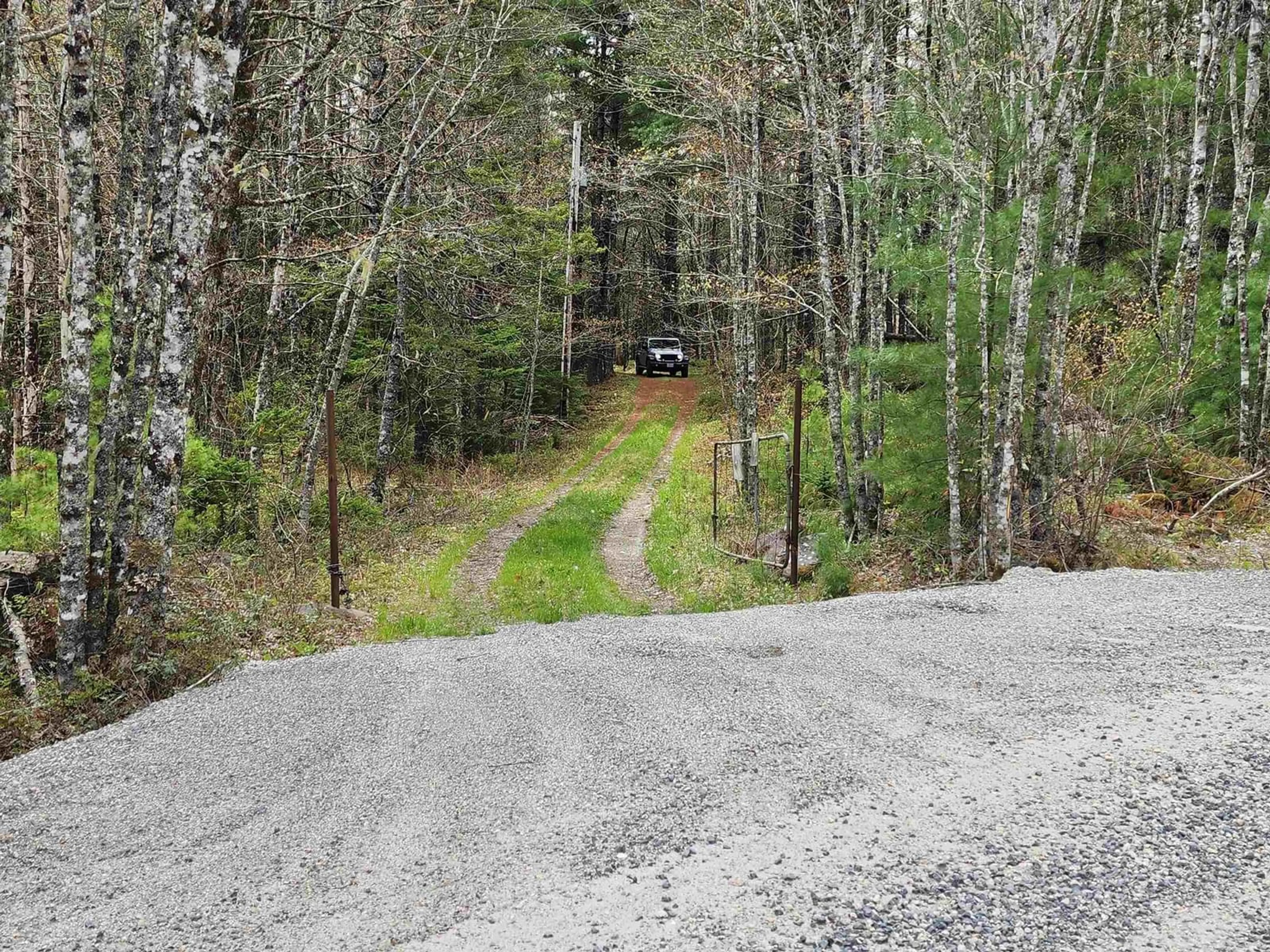 A pic from outside/outdoor area/front of a property/back of a property/a pic from drone, forest/trees view for 7278 Upper Clyde Road,Upper Clyde, Upper Clyde Road Nova Scotia B0W 1P0