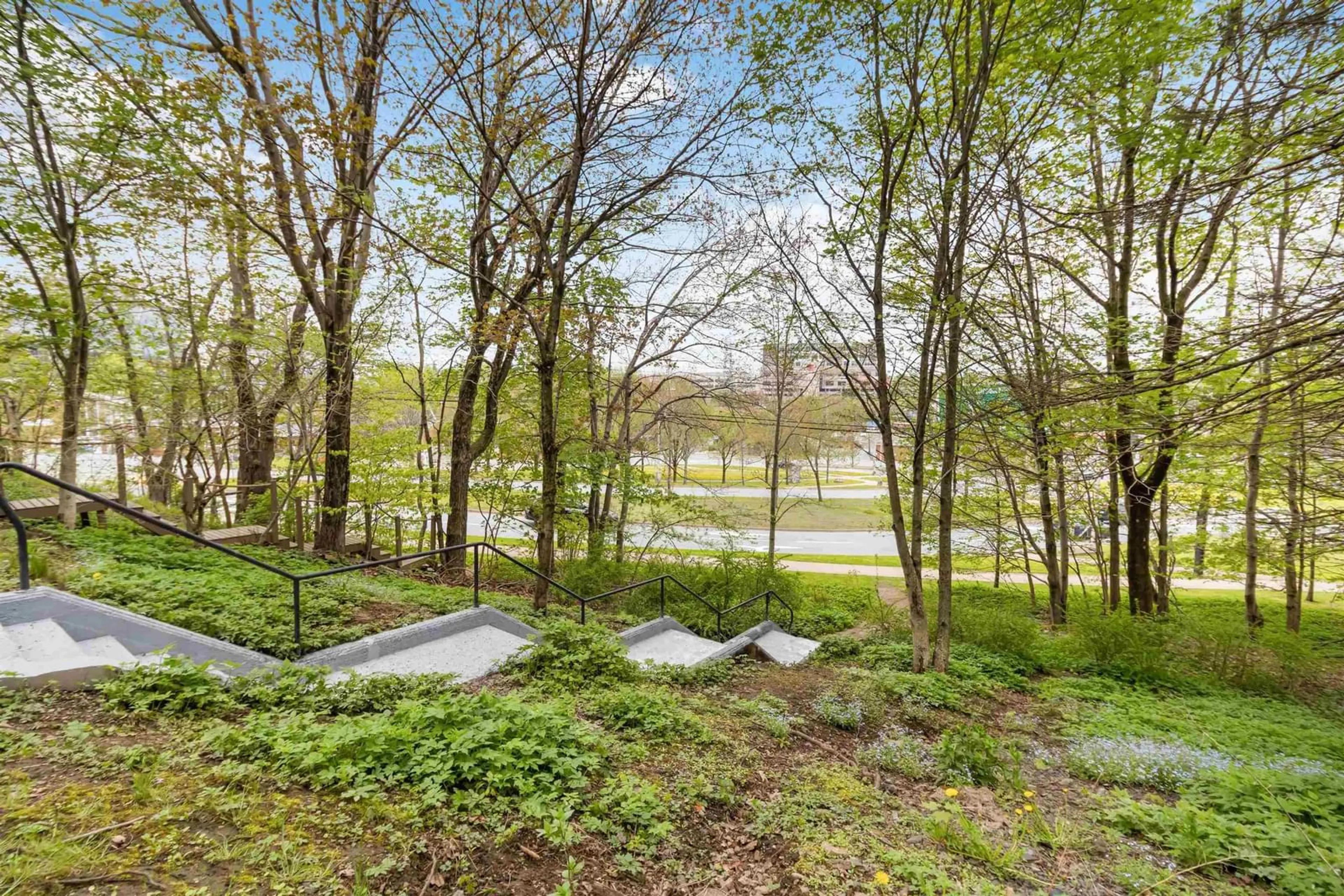Patio, forest/trees view for 16 Birches Dr, Halifax Nova Scotia B3N 1J1