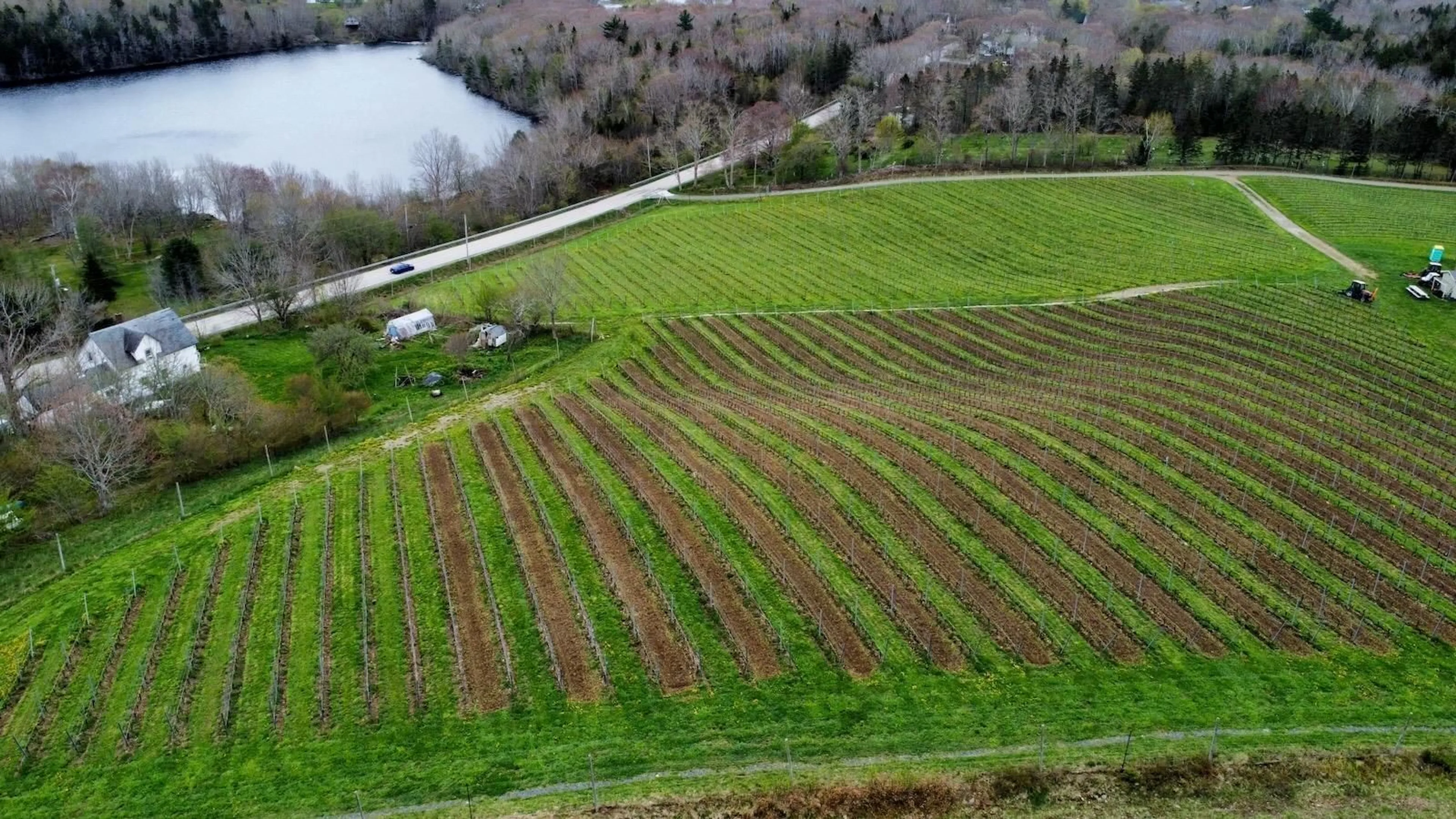 A pic from outside/outdoor area/front of a property/back of a property/a pic from drone, water/lake/river/ocean view for 4113 340 Hwy, Carleton Nova Scotia B5A 5N9
