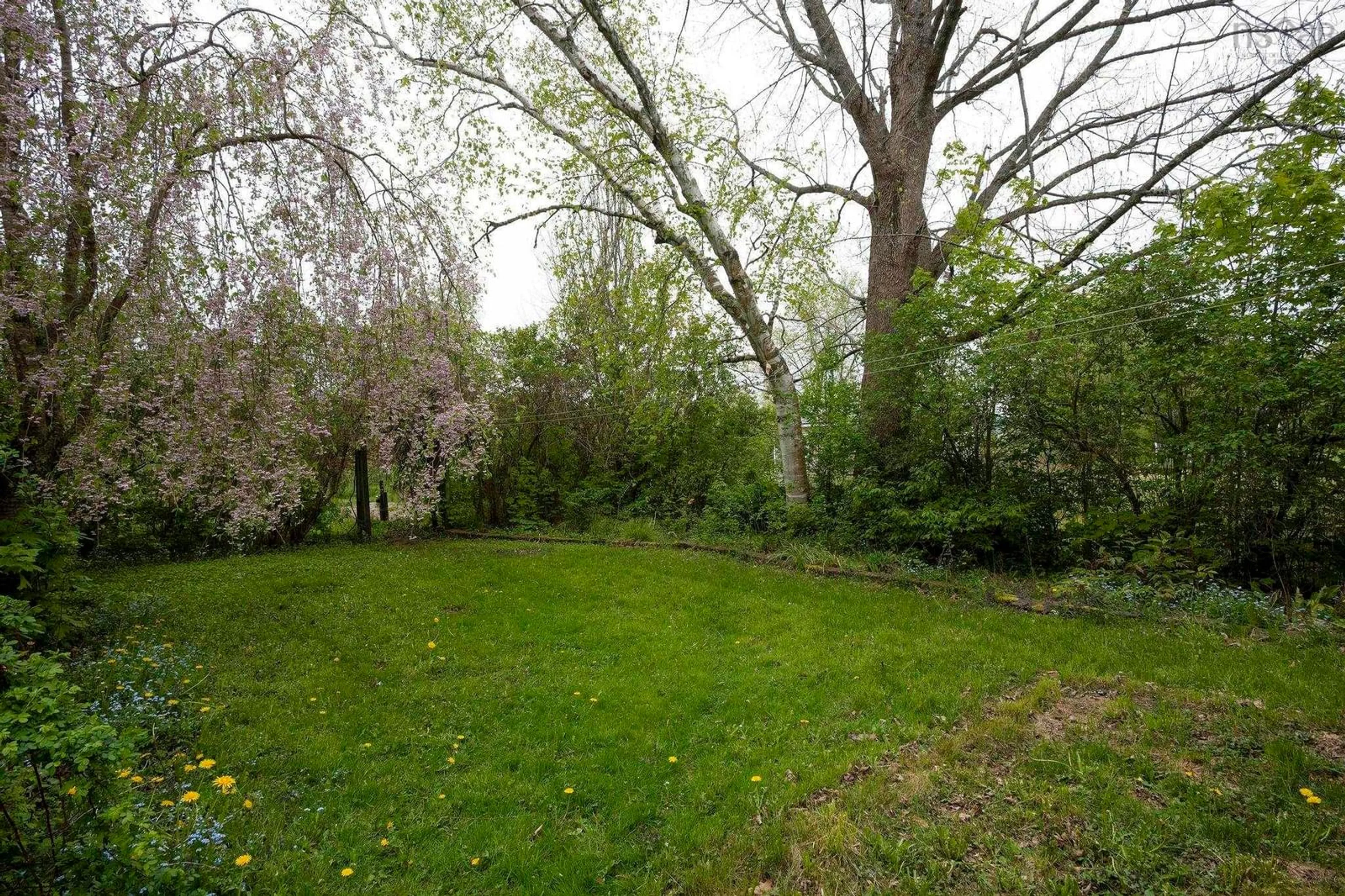 Patio, forest/trees view for 341 College Rd, Windsor Nova Scotia B0N 2T0