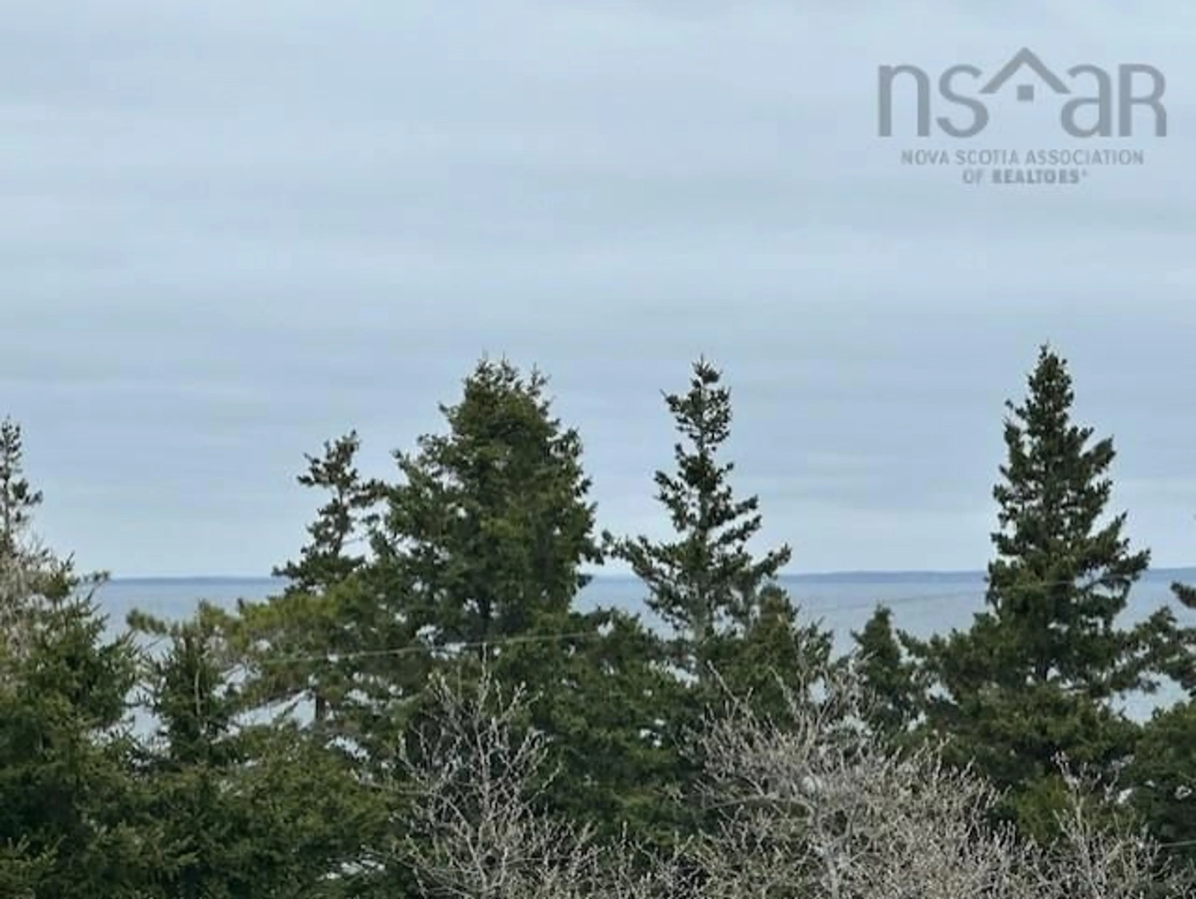 A pic from outside/outdoor area/front of a property/back of a property/a pic from drone, forest/trees view for 59 Fox Island Main Rd, Fox Island Main Nova Scotia B0H 1H0