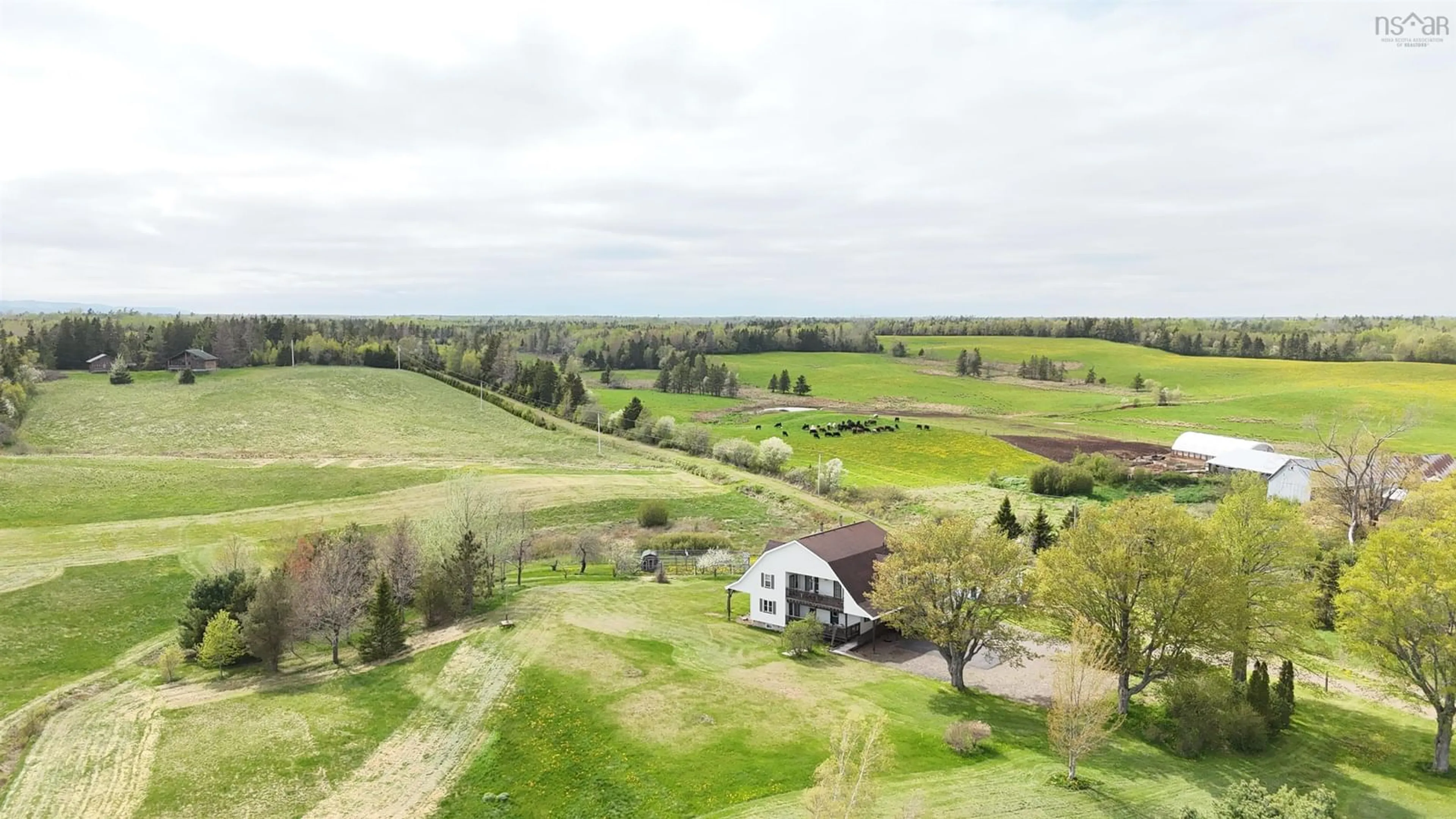 A pic from outside/outdoor area/front of a property/back of a property/a pic from drone, water/lake/river/ocean view for 8627 311 Hwy, Balfron Nova Scotia B0K 1V0