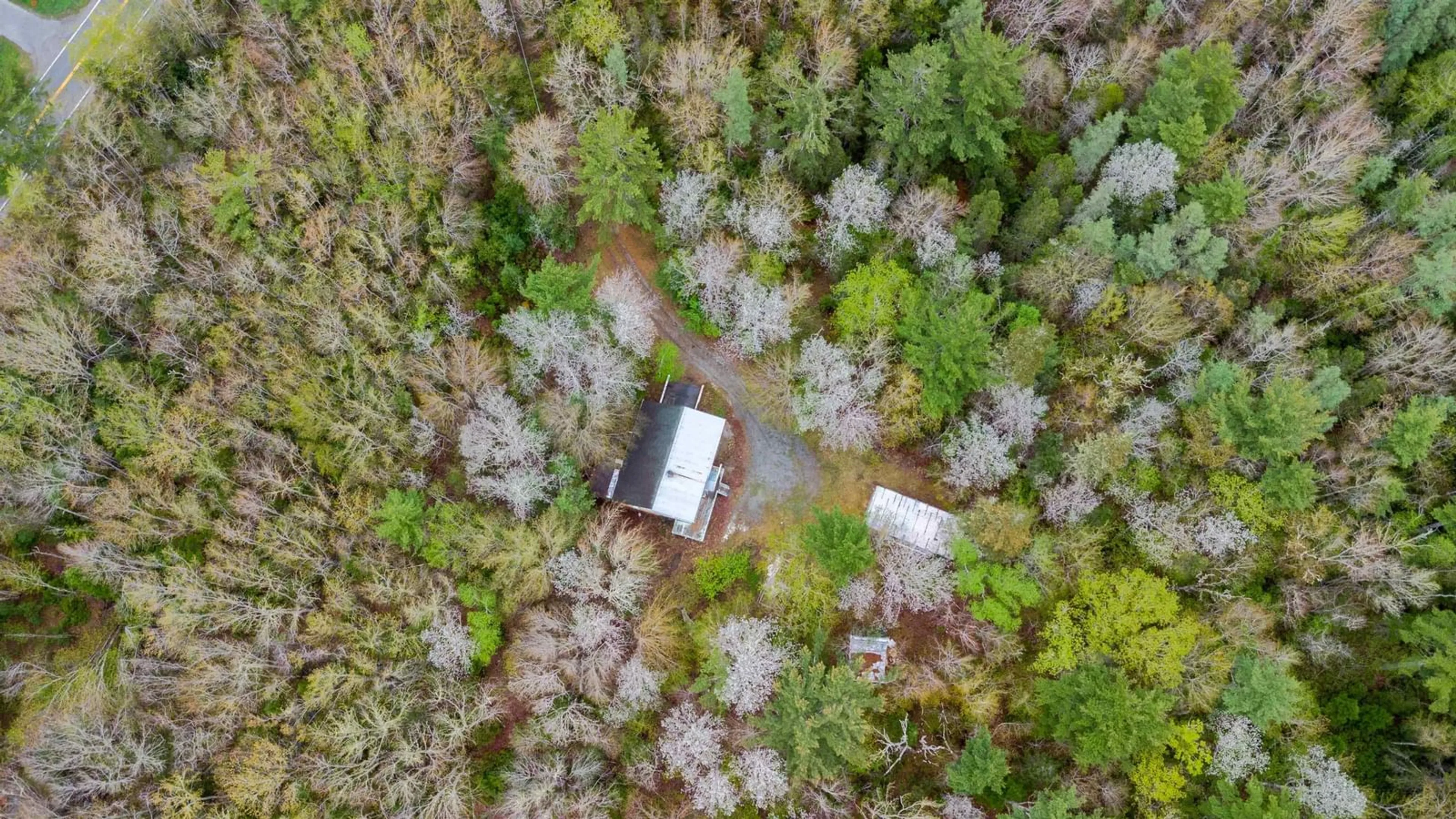 A pic from outside/outdoor area/front of a property/back of a property/a pic from drone, forest/trees view for 830 Woodlawn Dr, Shelburne Nova Scotia B0T 1W0