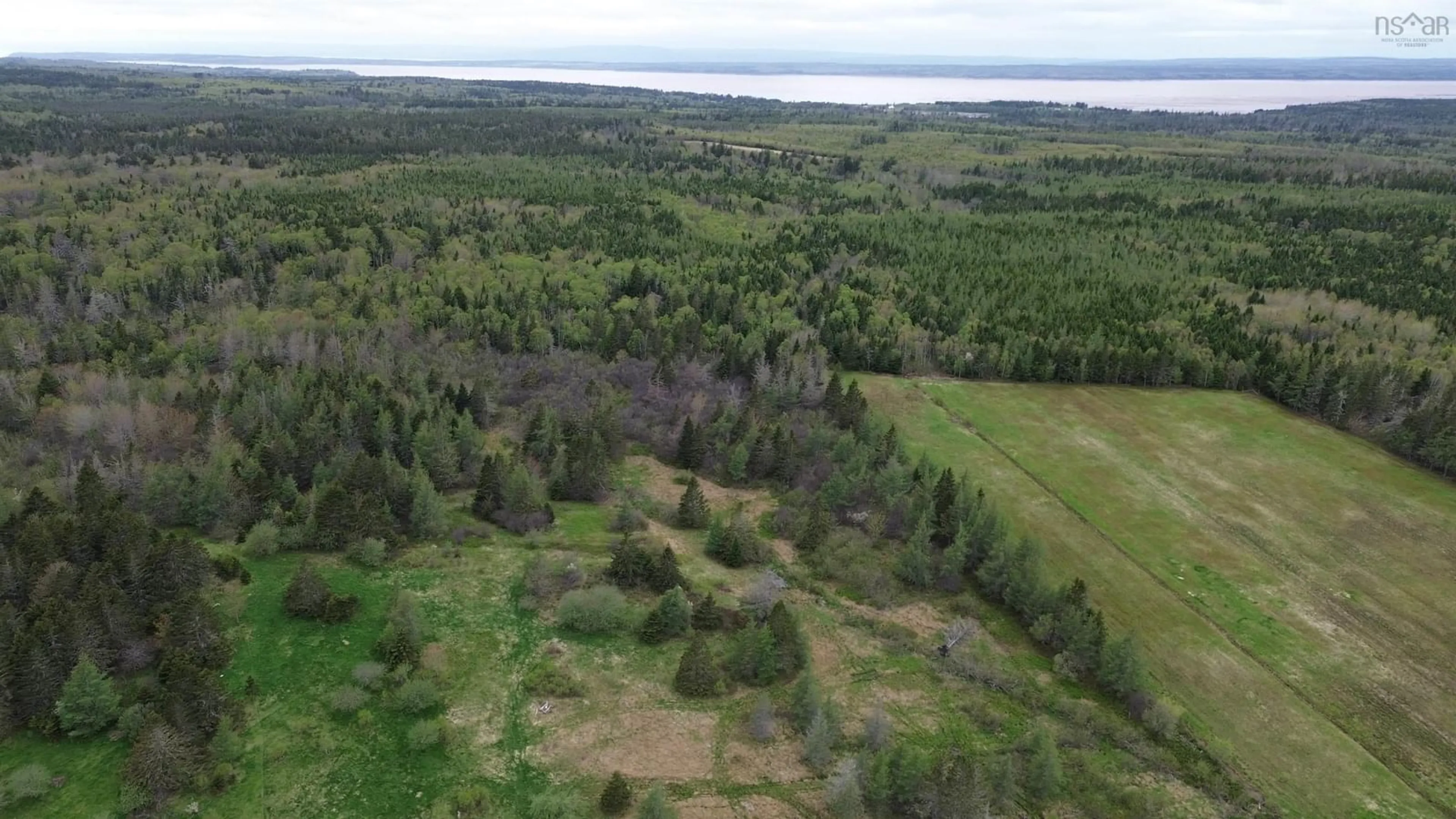 A pic from outside/outdoor area/front of a property/back of a property/a pic from drone, forest/trees view for 4855 Barronsfield Road, Barronsfield Nova Scotia B0L 1G0