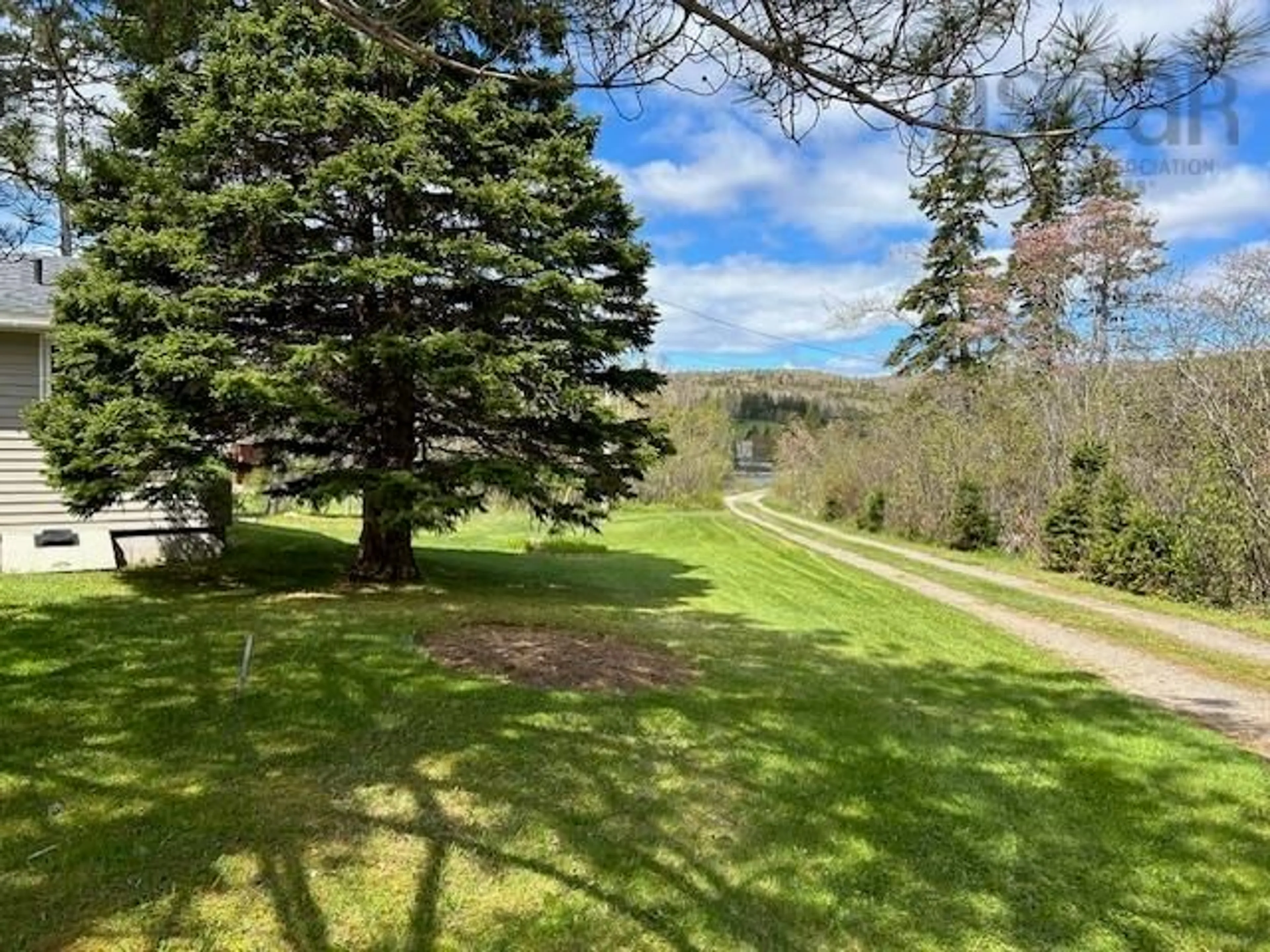 A pic from outside/outdoor area/front of a property/back of a property/a pic from drone, forest/trees view for 9917 105 Hwy, Nyanza Nova Scotia B0E 1B0