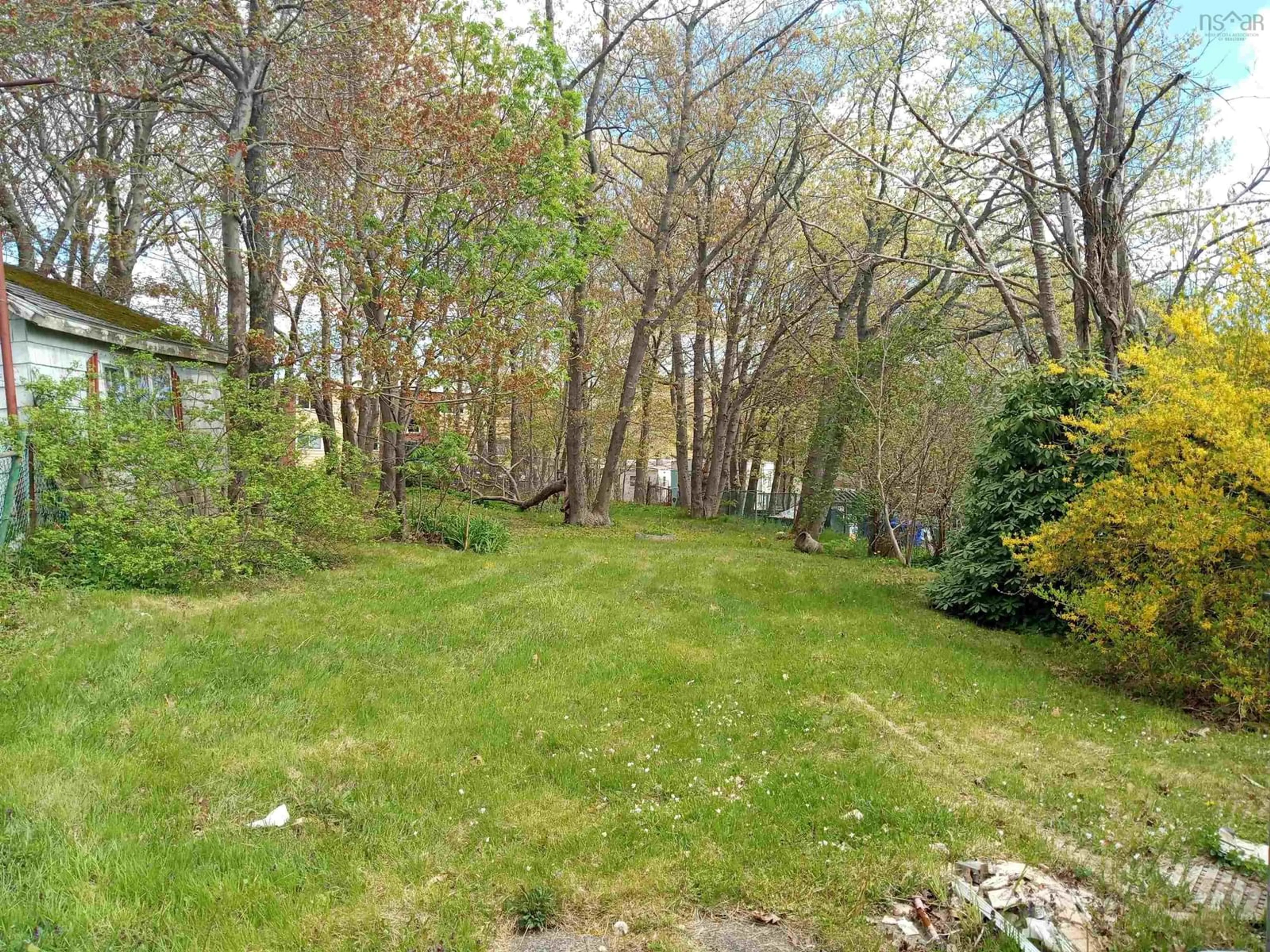 A pic from outside/outdoor area/front of a property/back of a property/a pic from drone, forest/trees view for 46 Primrose St, Dartmouth Nova Scotia B3A 4C5