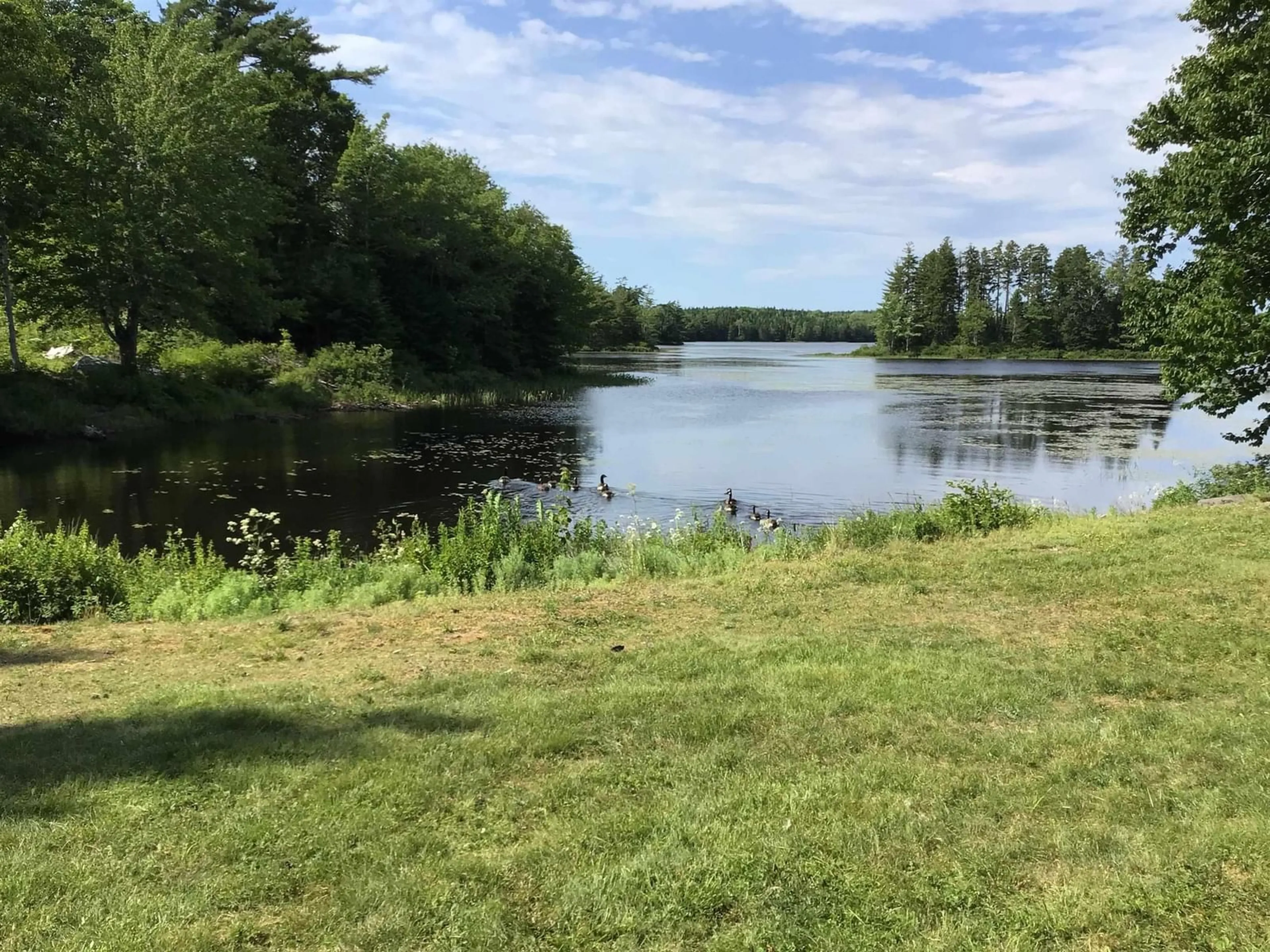 Unknown for 196 Welsh Rd, Goshen Nova Scotia B0H 1M0