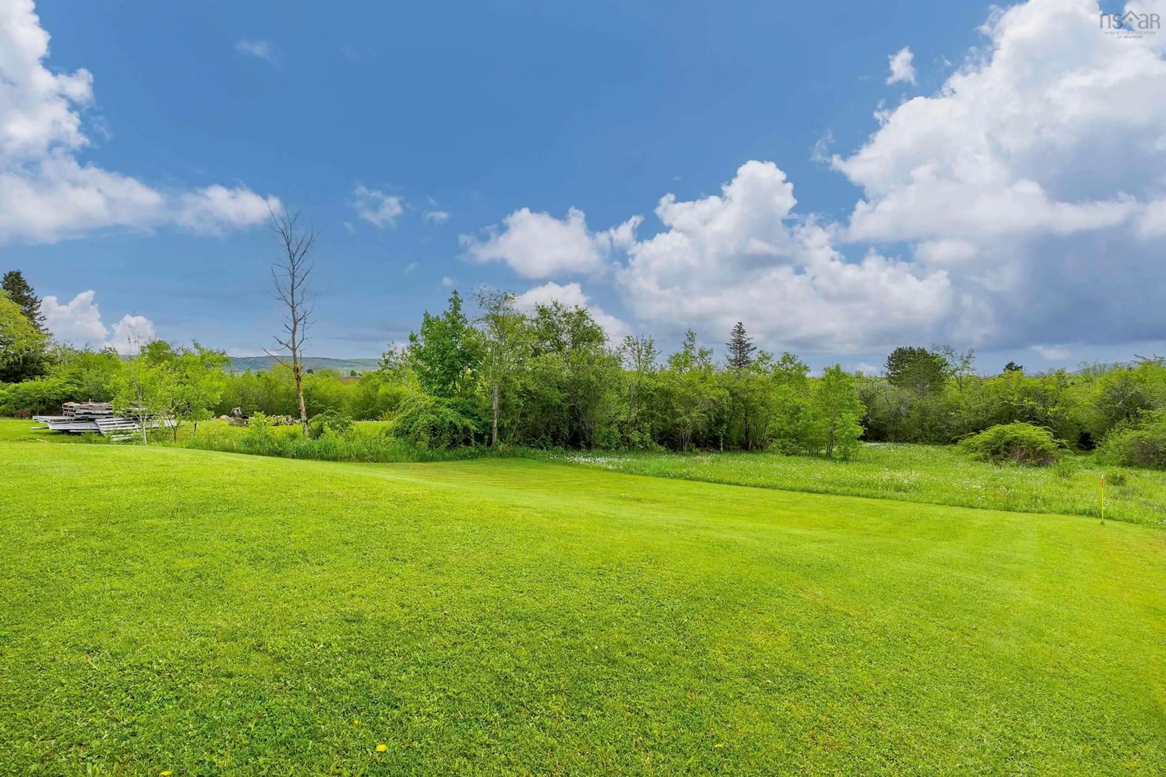 A pic from outside/outdoor area/front of a property/back of a property/a pic from drone, forest/trees view for 171 Church St, Bridgetown North Nova Scotia B0S 1C0