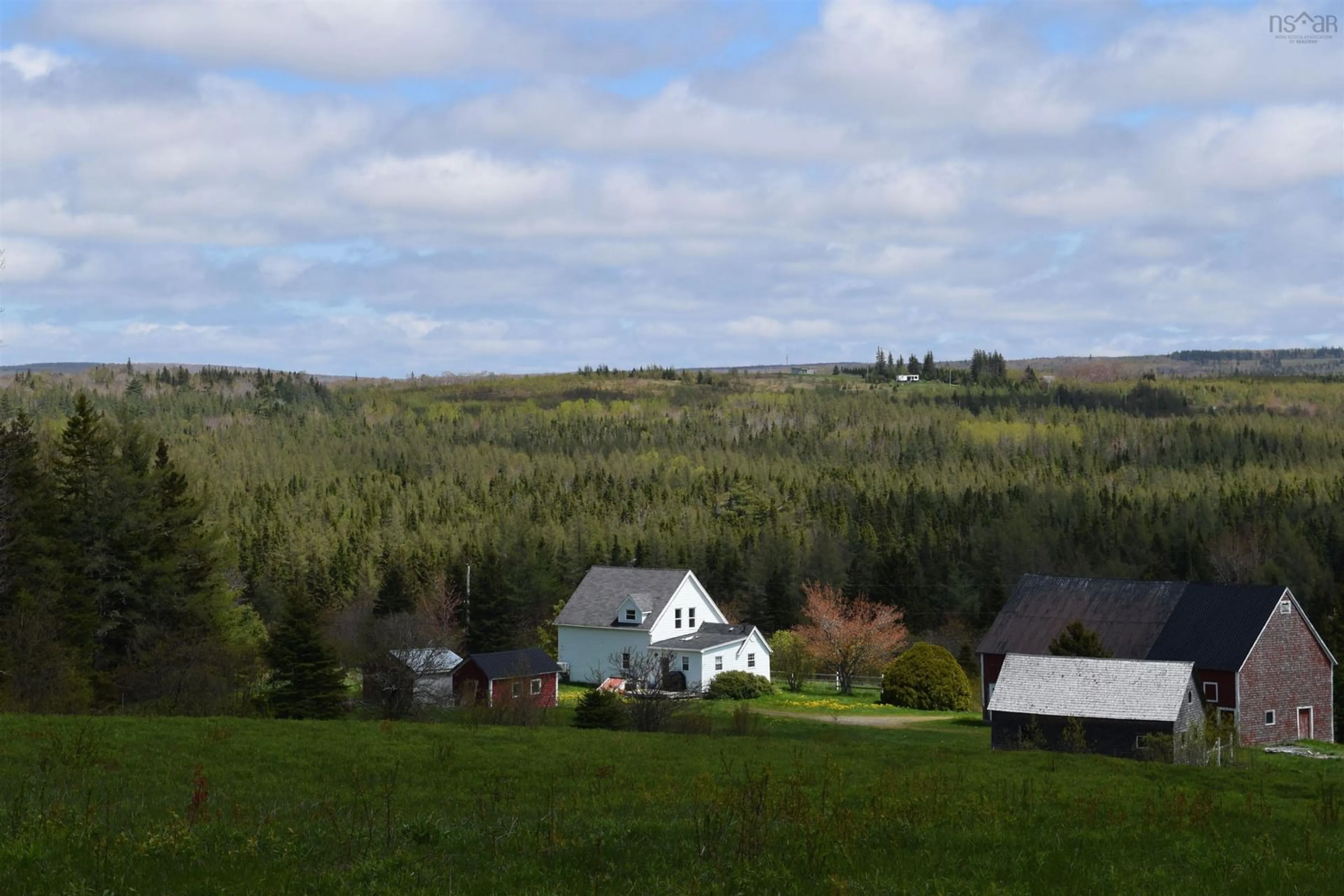 A pic from outside/outdoor area/front of a property/back of a property/a pic from drone, forest/trees view for 132 Glencoe Rd, Mabou Nova Scotia B0E 1X0