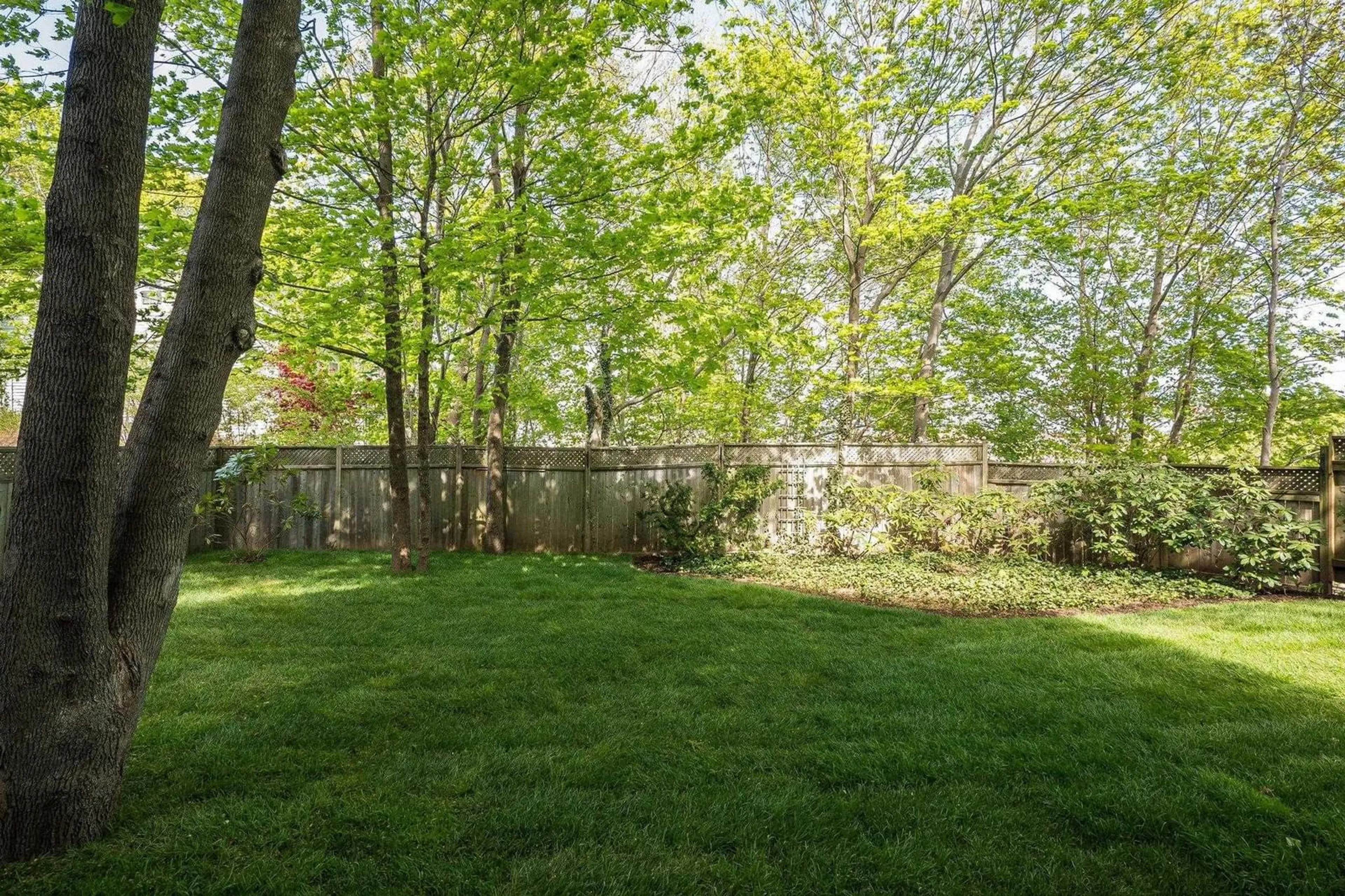 Patio, forest/trees view for 745 Young Ave, Halifax Nova Scotia B3H 2V8