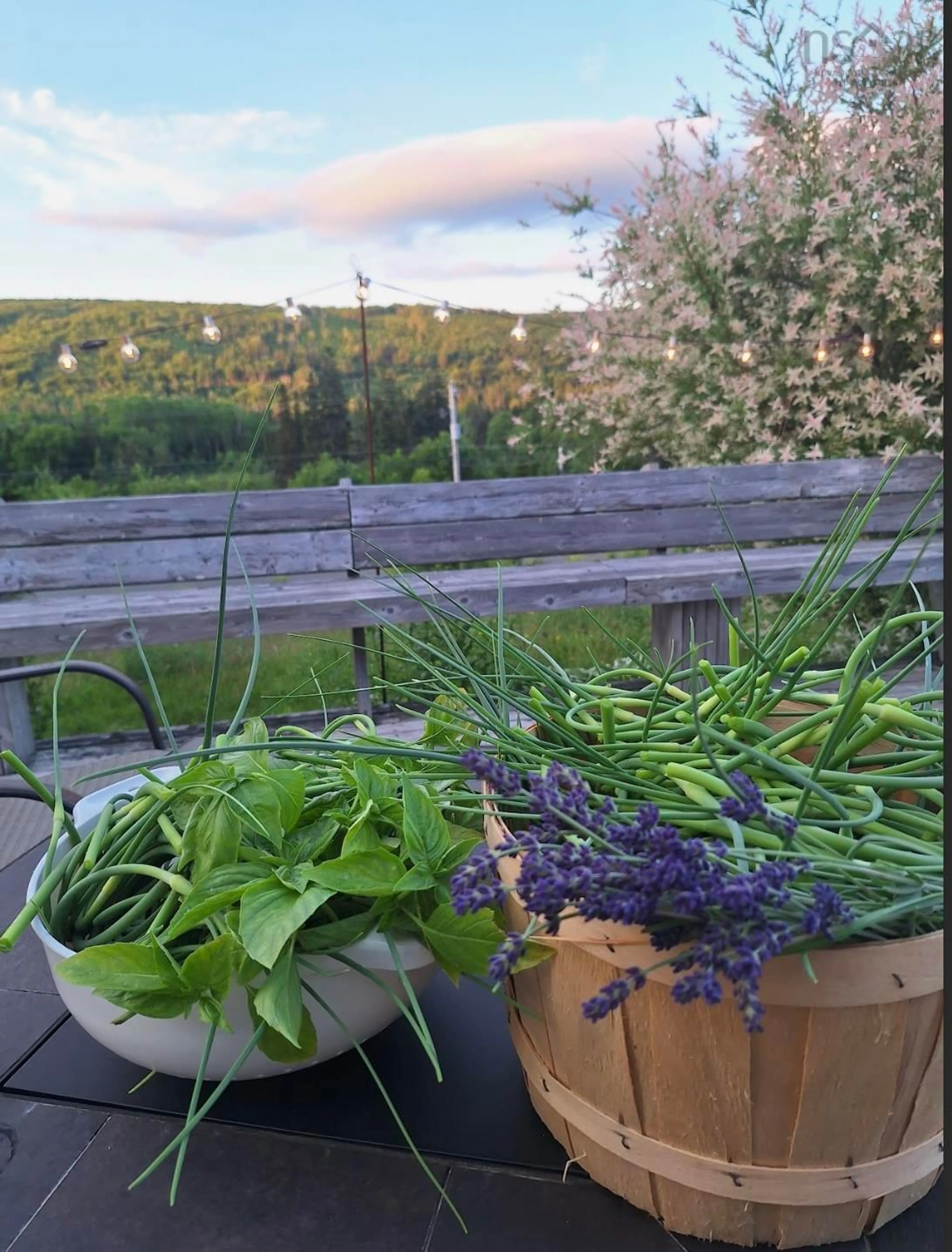 Patio, mountain view for 1315 Highway 252, Skye Glen Nova Scotia B0E 3M0