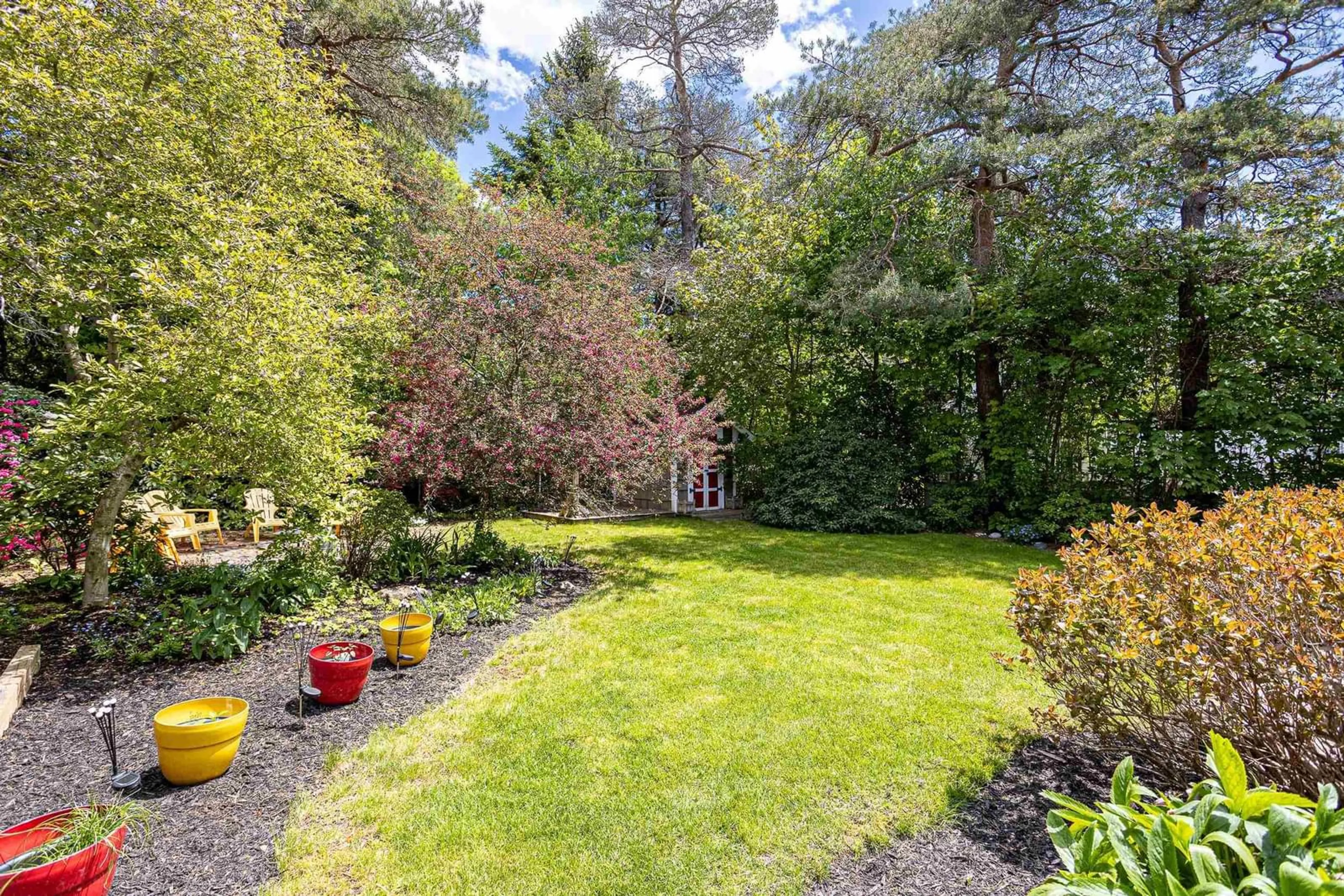 A pic from outside/outdoor area/front of a property/back of a property/a pic from drone, forest/trees view for 1127 Dalhousie St, Halifax Nova Scotia B3H 3W5
