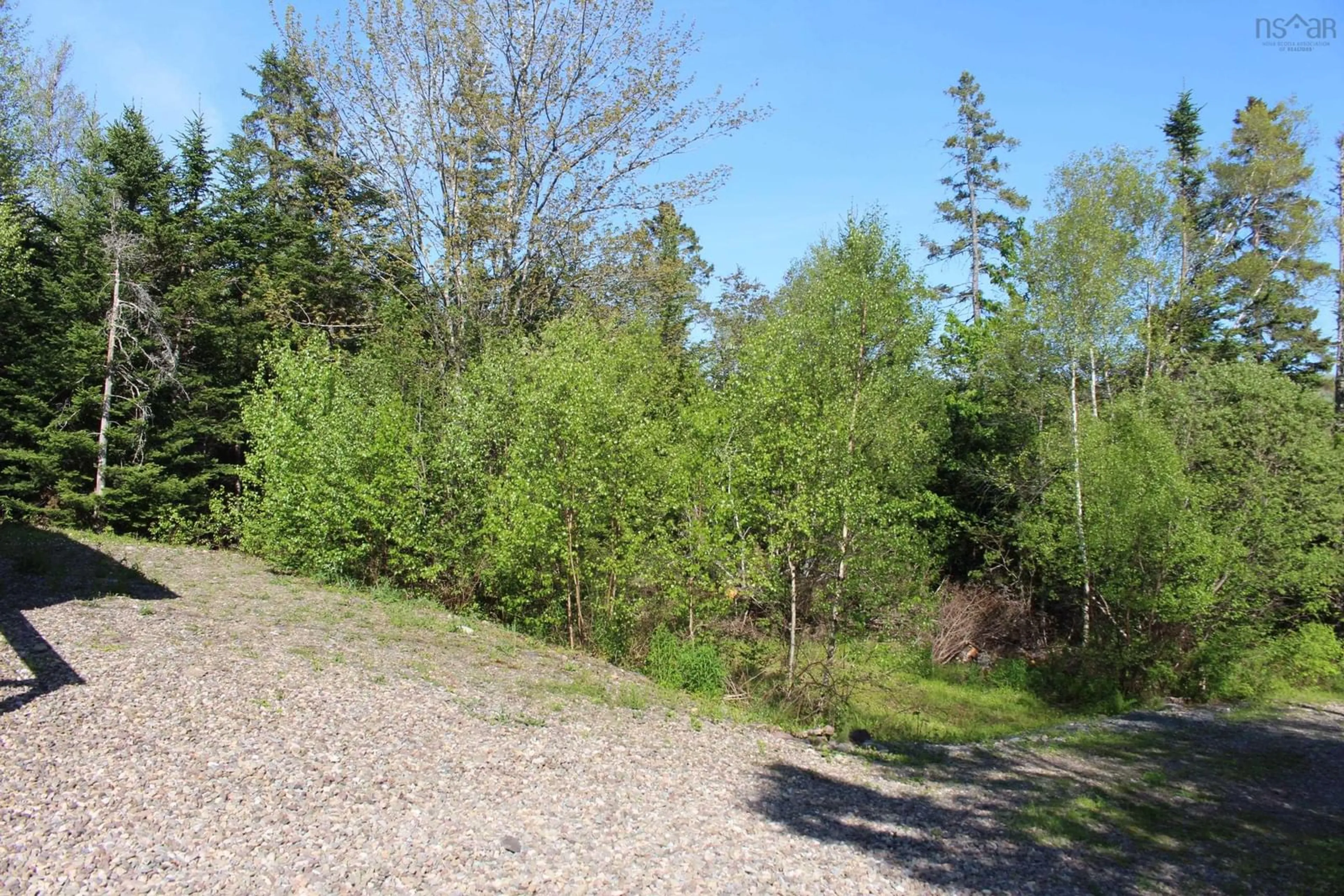 A pic from outside/outdoor area/front of a property/back of a property/a pic from drone, forest/trees view for 1639 Meadowvale Rd, Upper Stewiacke Nova Scotia B0N 2P0