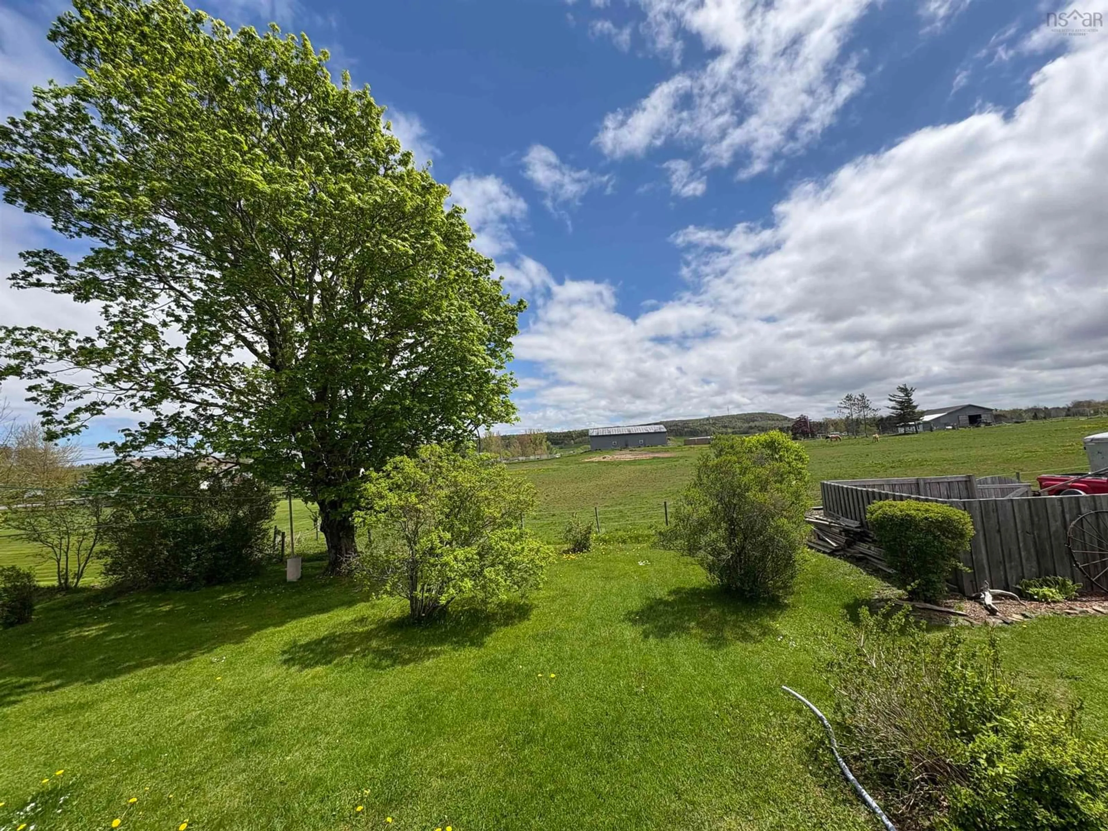A pic from outside/outdoor area/front of a property/back of a property/a pic from drone, forest/trees view for 15 High St, Plymouth Nova Scotia B0K 1S0