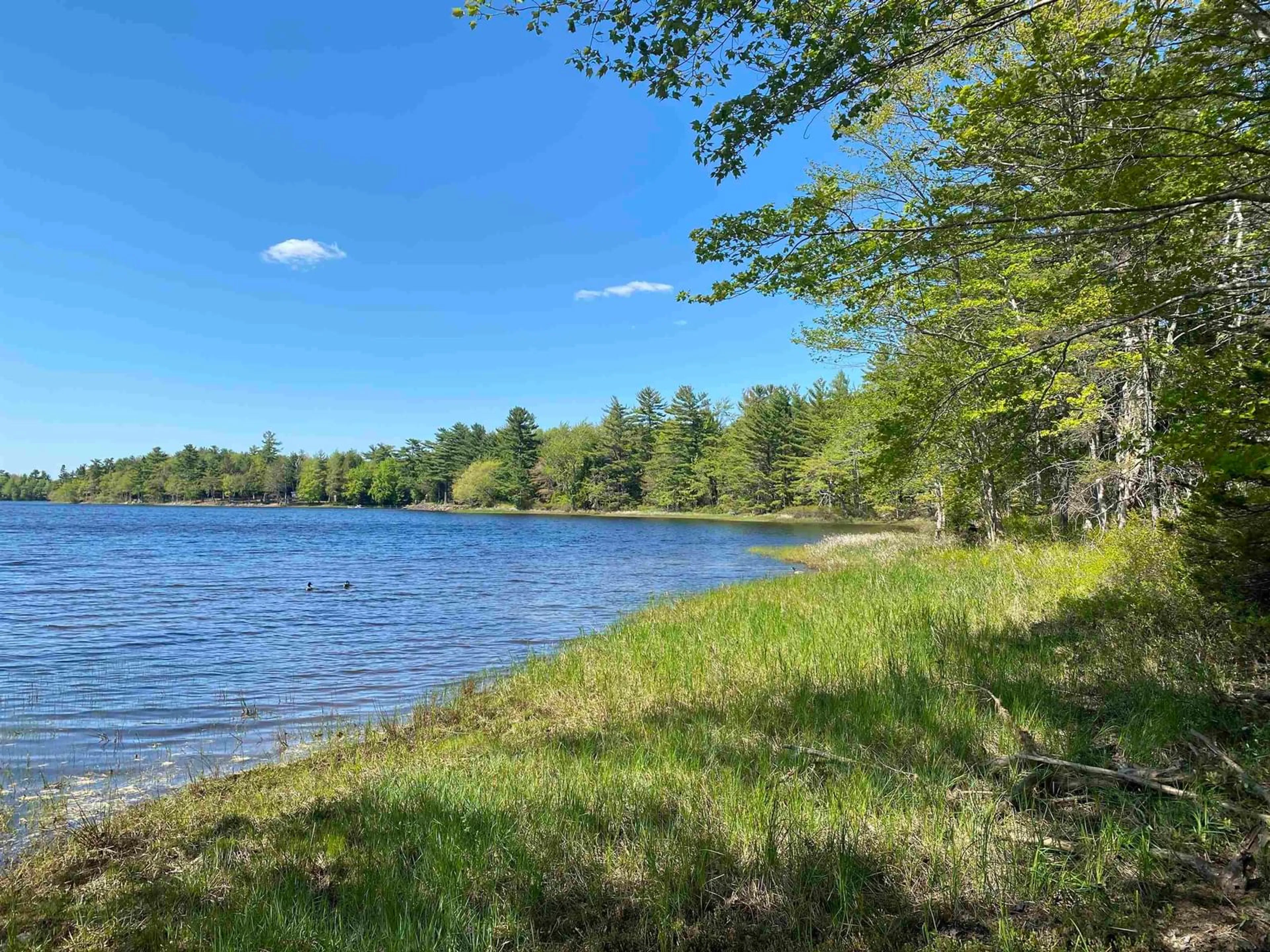 Unknown for 77 Laurie Wamboldt Rd, Greenfield Nova Scotia B0T 1E0