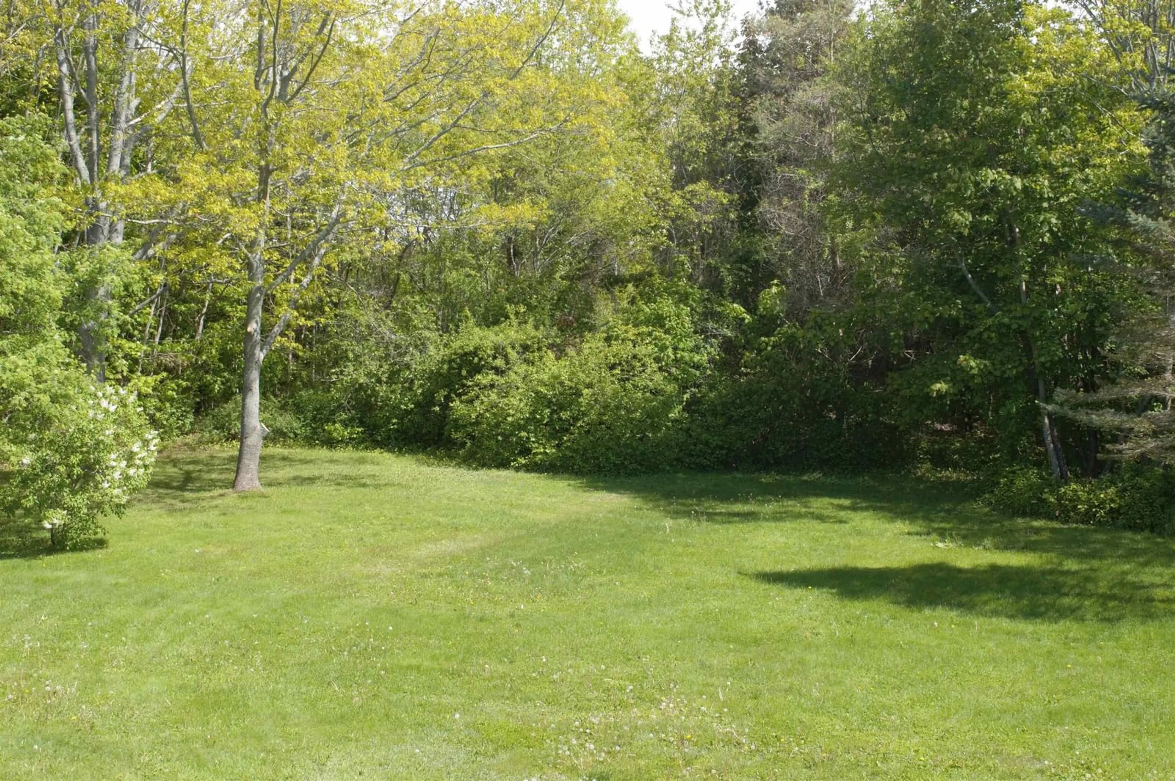 Patio, forest/trees view for 20 Connaught Ave #3, Middleton Nova Scotia B0S 1P0