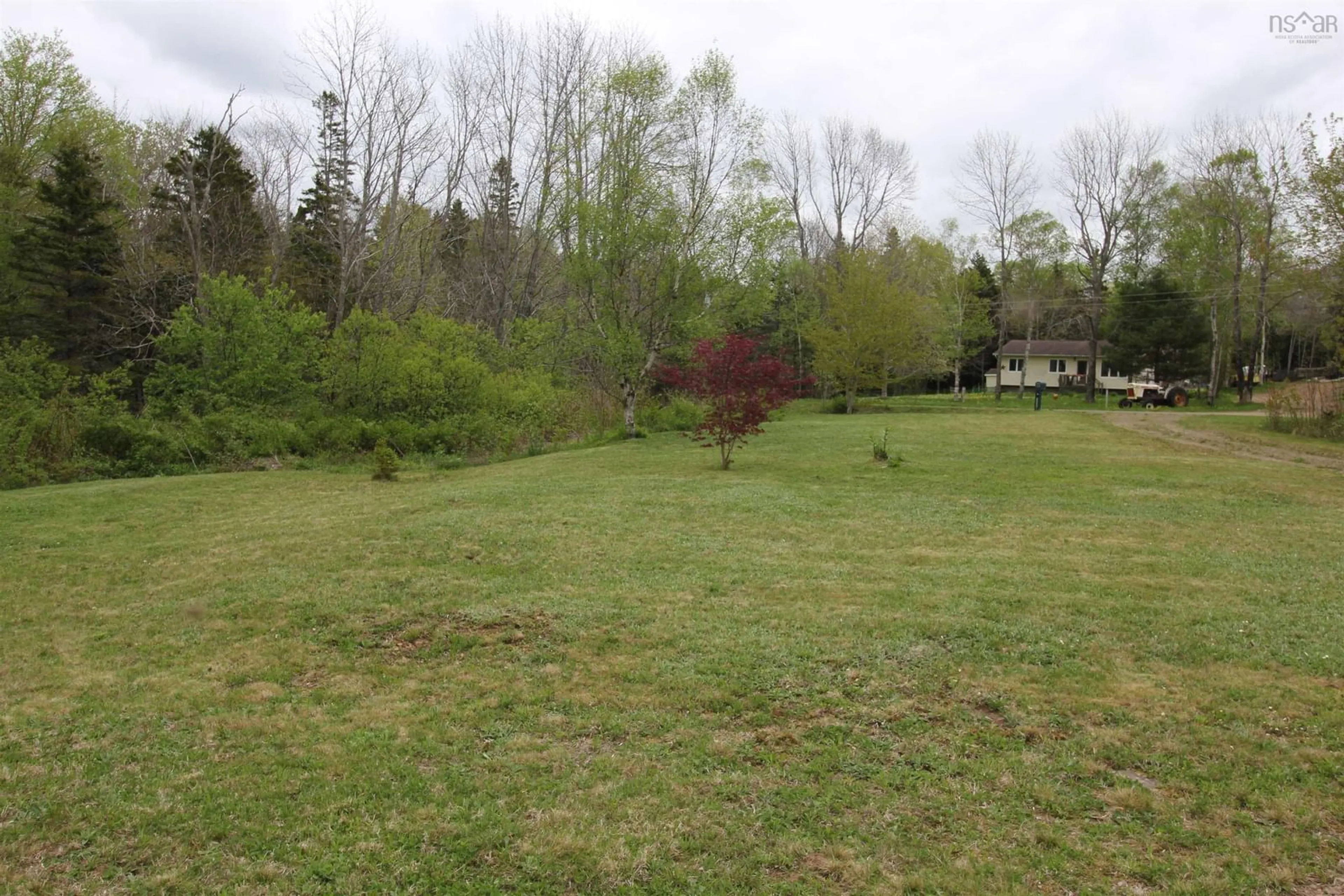 A pic from outside/outdoor area/front of a property/back of a property/a pic from drone, forest/trees view for 1291 Mcnally Rd, Morden Nova Scotia B0P 1C0