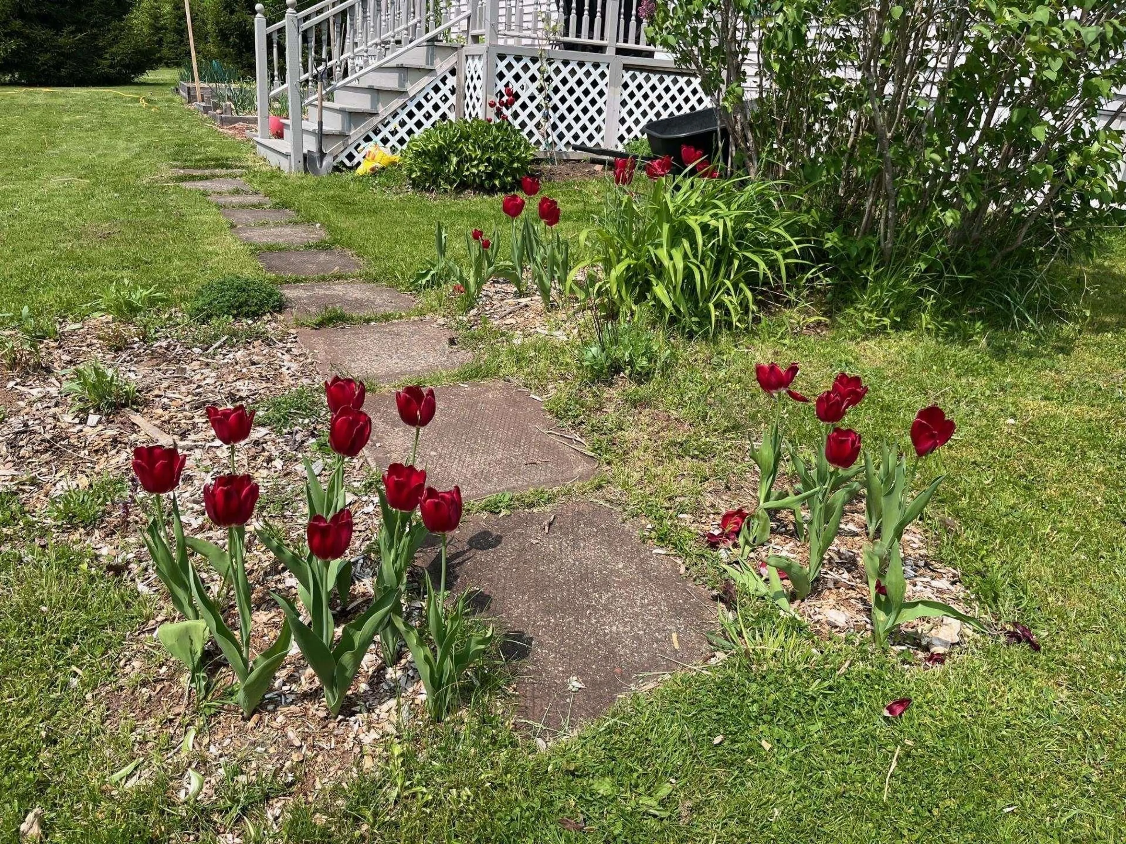 A pic from outside/outdoor area/front of a property/back of a property/a pic from drone, street for 22 Bills Mountain Rd, Middle River Nova Scotia B0E 1B0