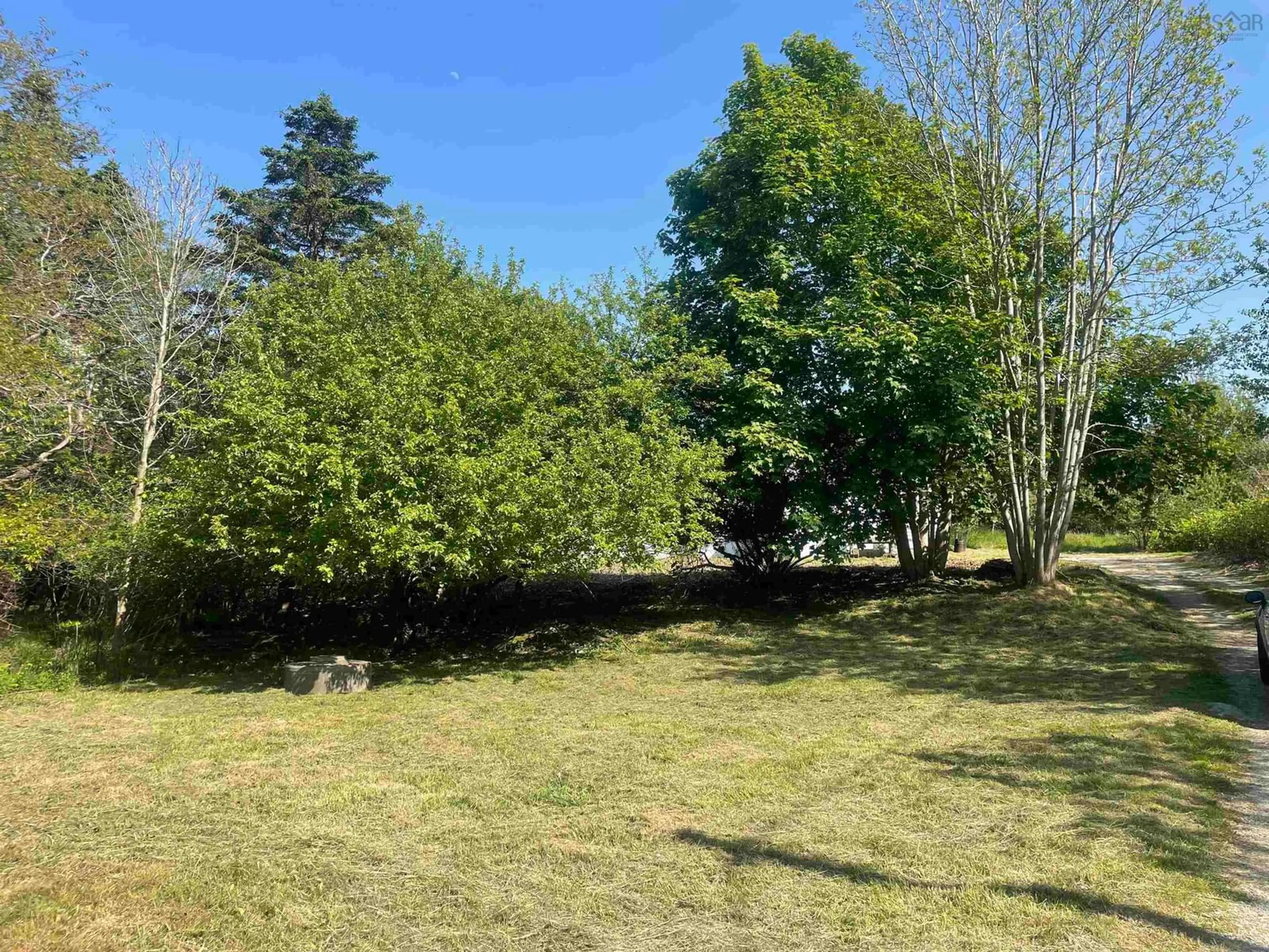 A pic from outside/outdoor area/front of a property/back of a property/a pic from drone, forest/trees view for 2935 Highway 3, Brass Hill Nova Scotia B0W 1E0