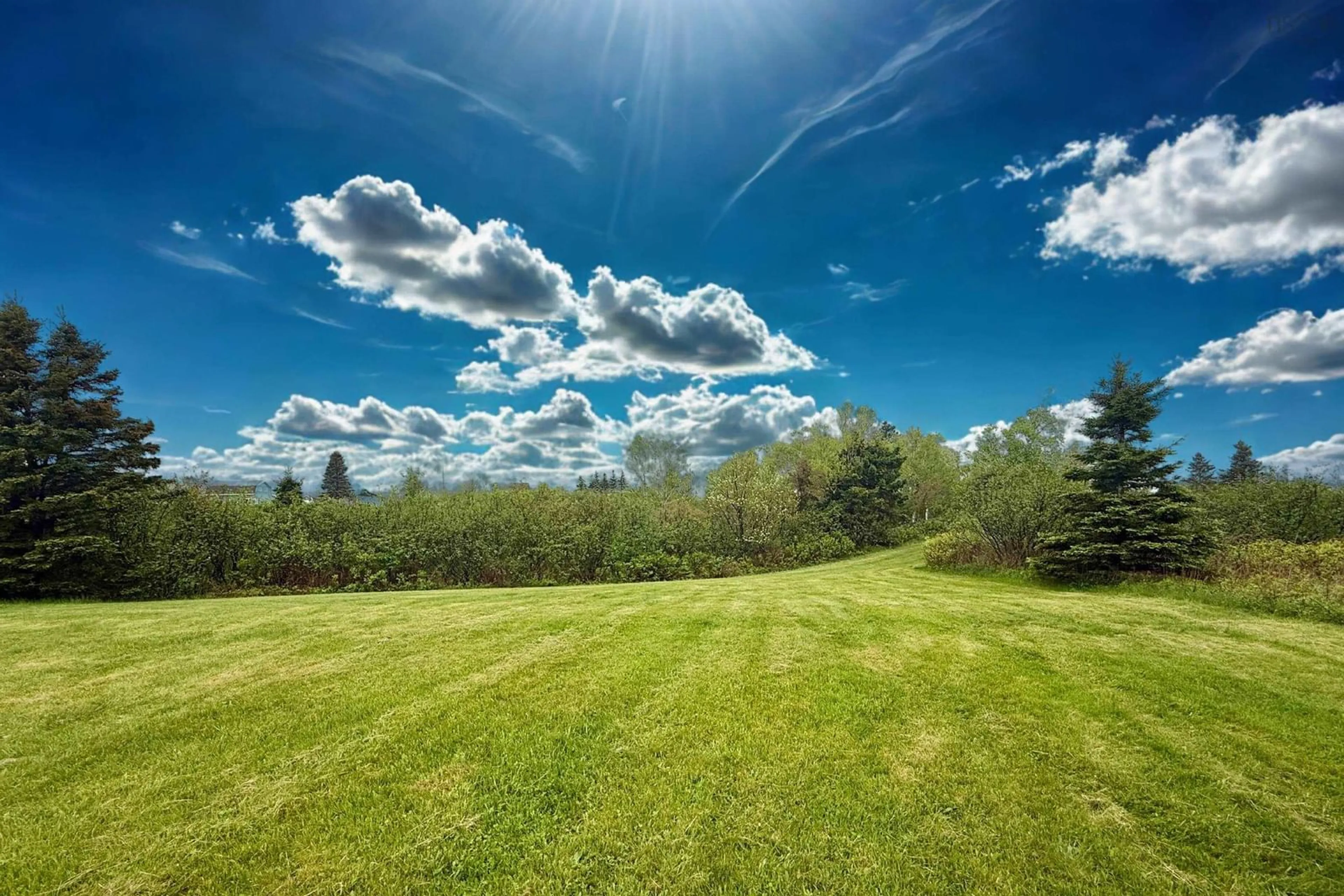 A pic from outside/outdoor area/front of a property/back of a property/a pic from drone, forest/trees view for 367 Old Farm Rd, Parrsboro Nova Scotia B0M 1S0