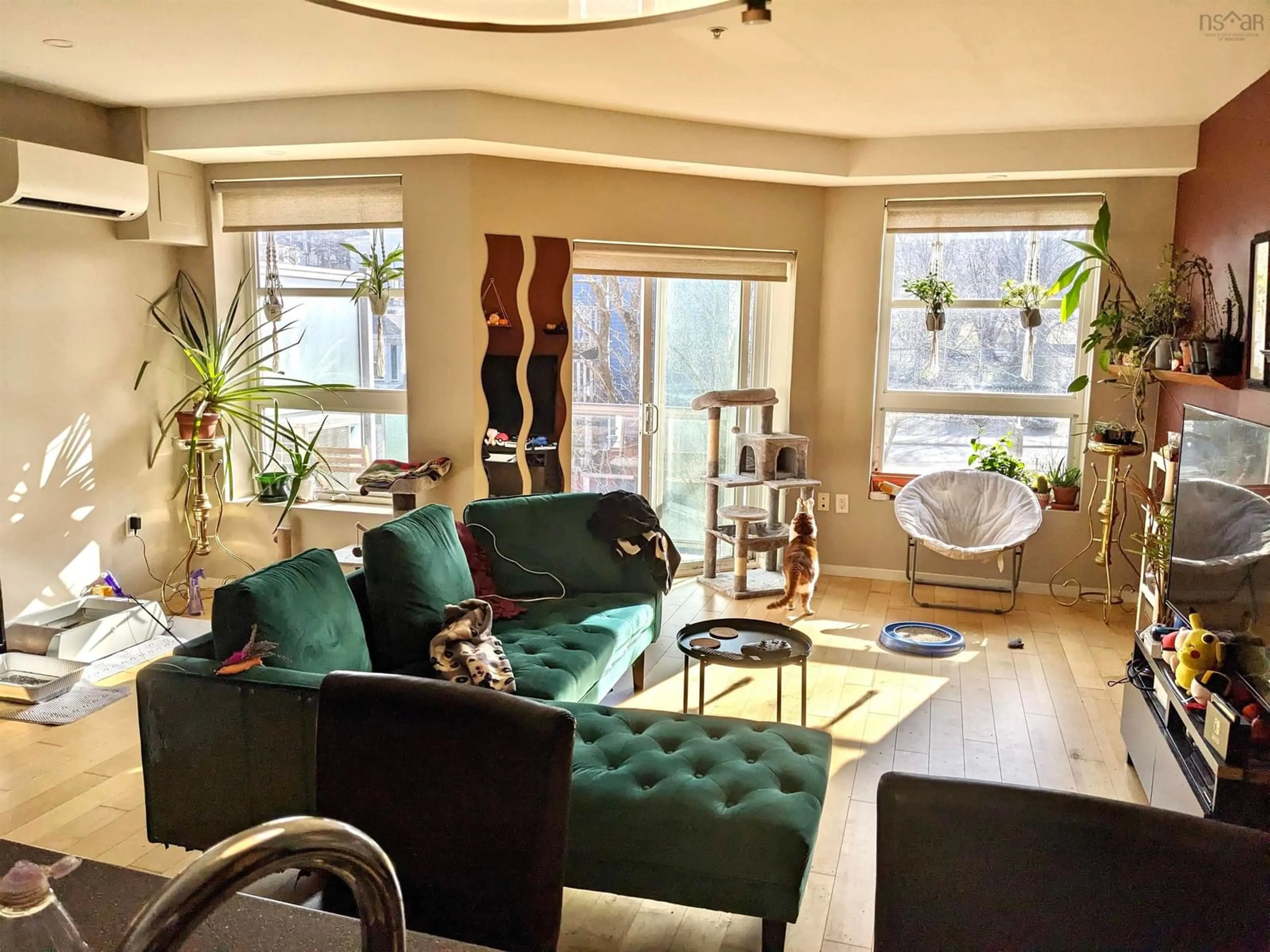 Living room with furniture, unknown for 5221 Nora Bernard St #412, Halifax Nova Scotia B3K 0B6