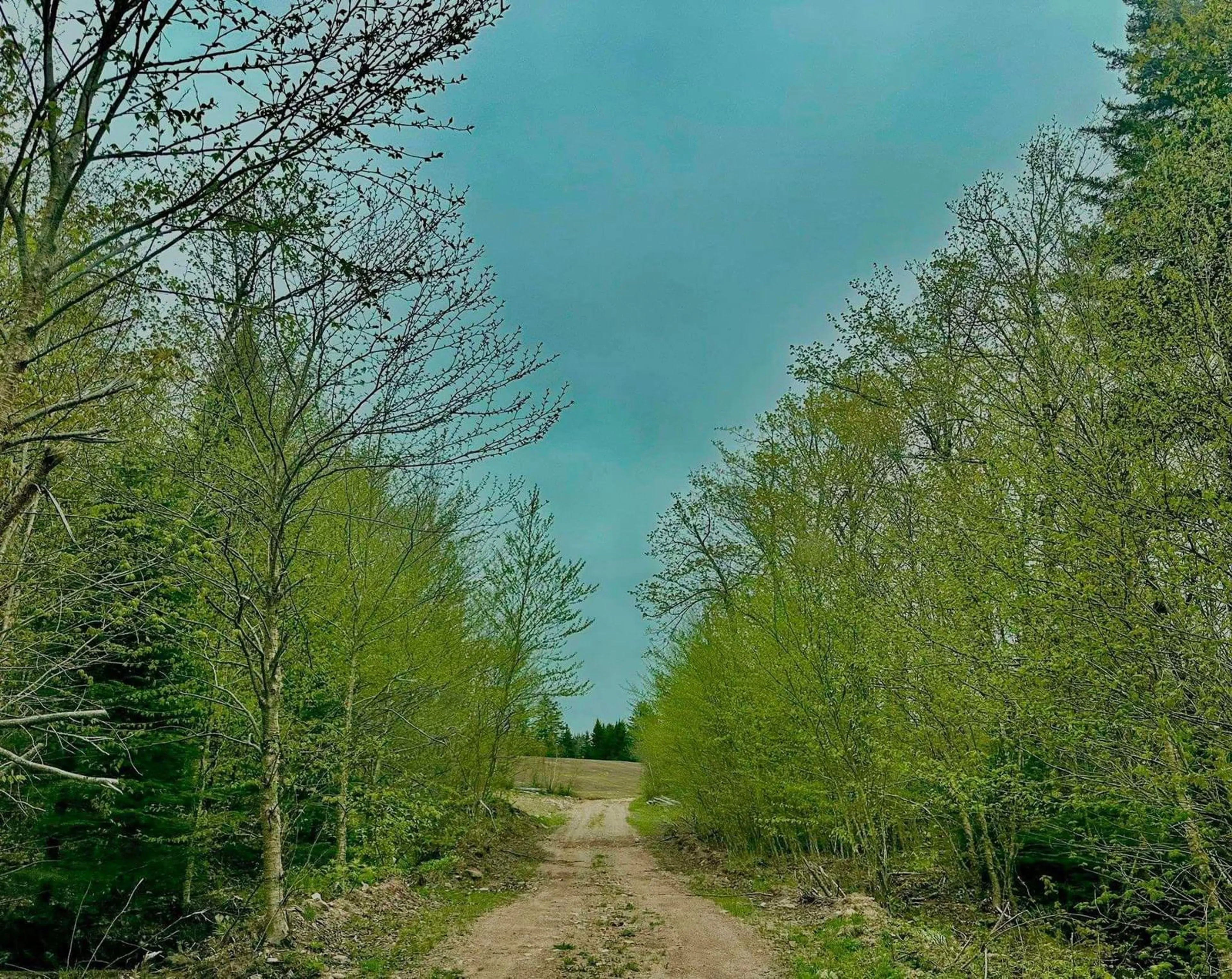 Blurry image for Camp Fenton Rd, Collingwood Corner Nova Scotia B0M 1E0