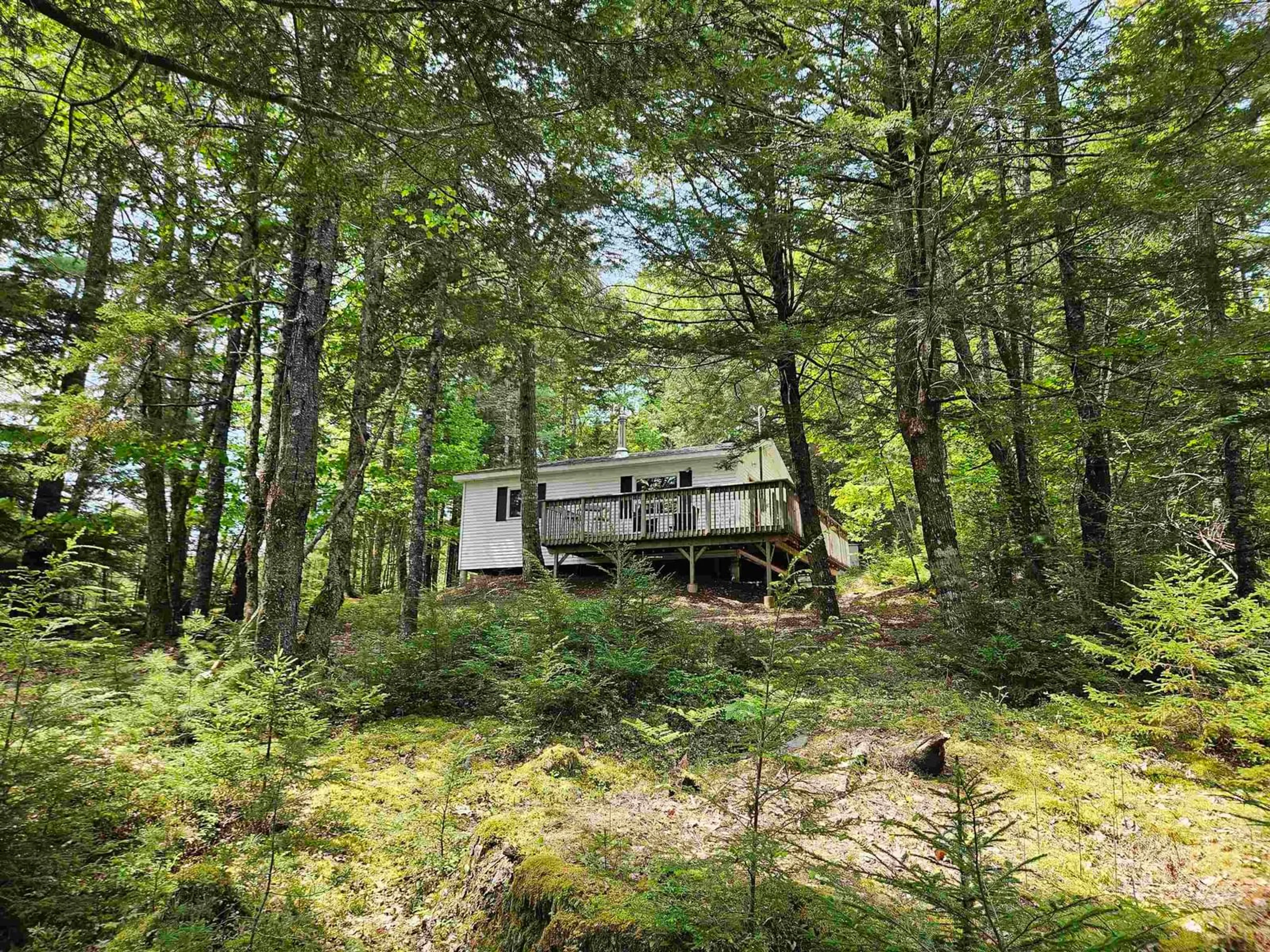 A pic from outside/outdoor area/front of a property/back of a property/a pic from drone, forest/trees view for 125 Cottage Lane, Pleasantfield Nova Scotia B0T 1X0