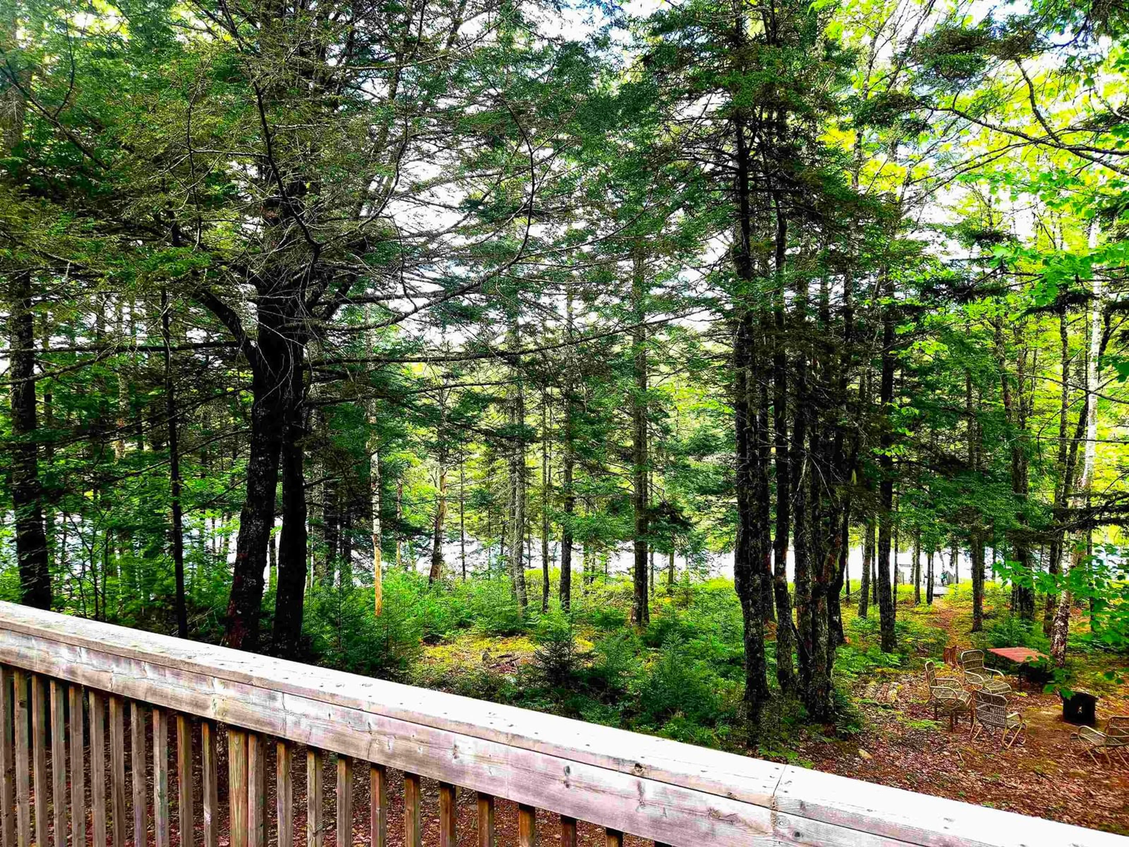 Patio, forest/trees view for 125 Cottage Lane, Pleasantfield Nova Scotia B0T 1X0