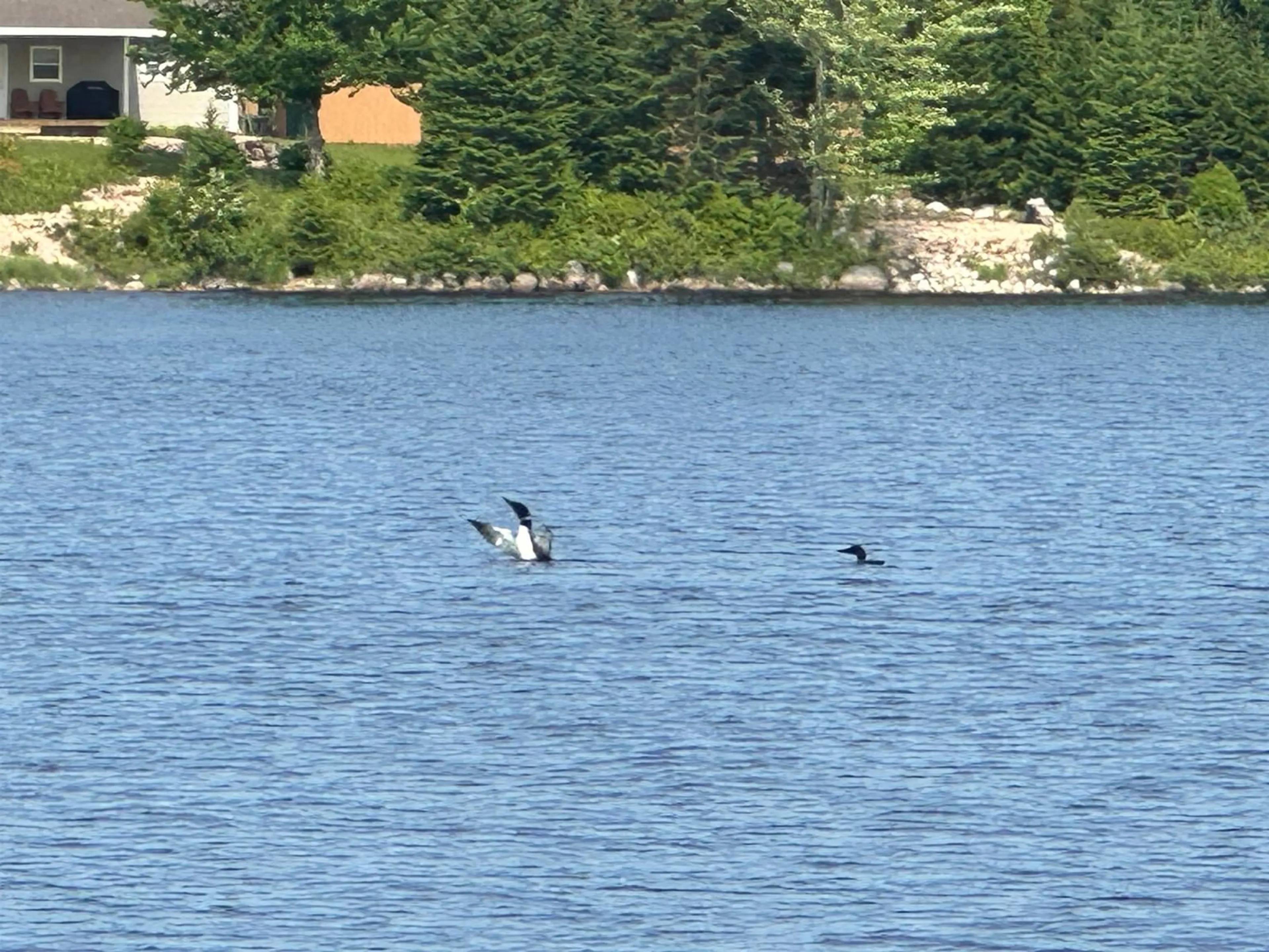 Blurry image for 500 Lakecrest Drive, Armstrong Lake Nova Scotia B0R 1H0