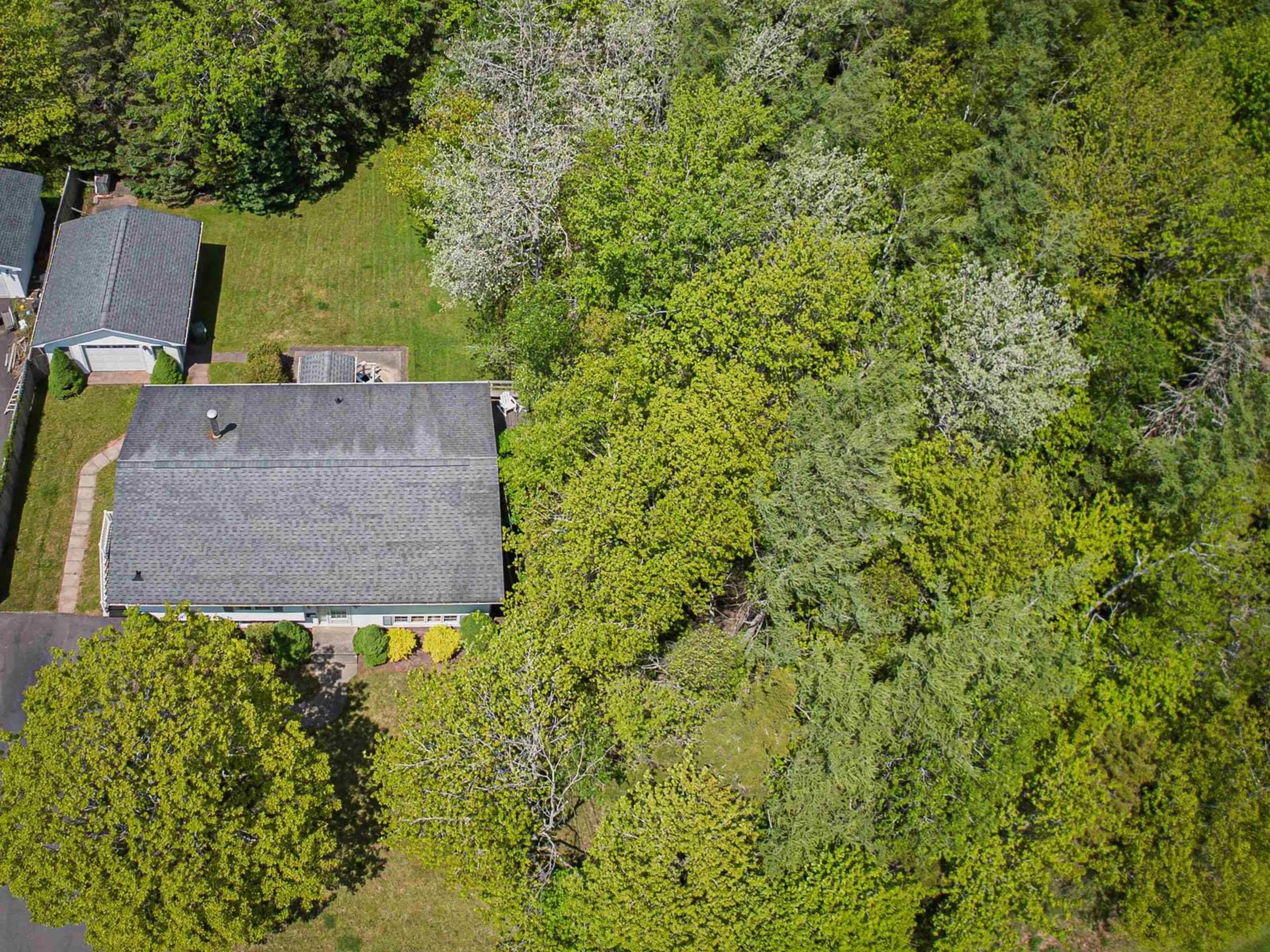 A pic from outside/outdoor area/front of a property/back of a property/a pic from drone, forest/trees view for 331 Upham Dr, Truro Nova Scotia B2N 5K2