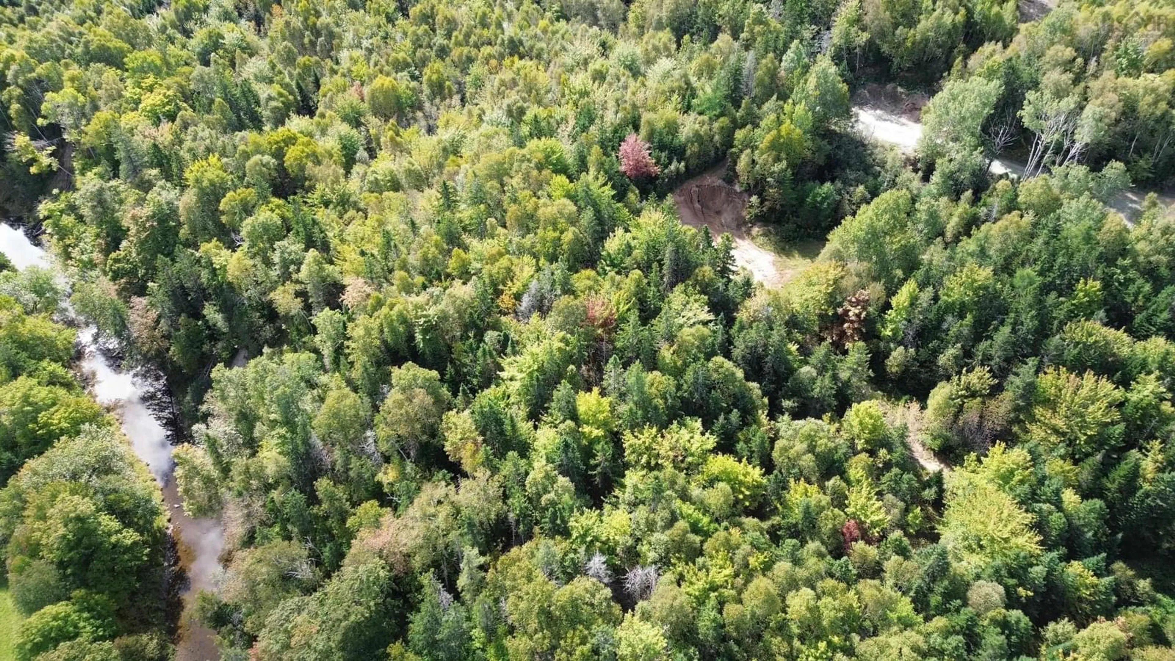 A pic from outside/outdoor area/front of a property/back of a property/a pic from drone, forest/trees view for Campbell Mountain Rd, Churchview Nova Scotia B0E 3M0
