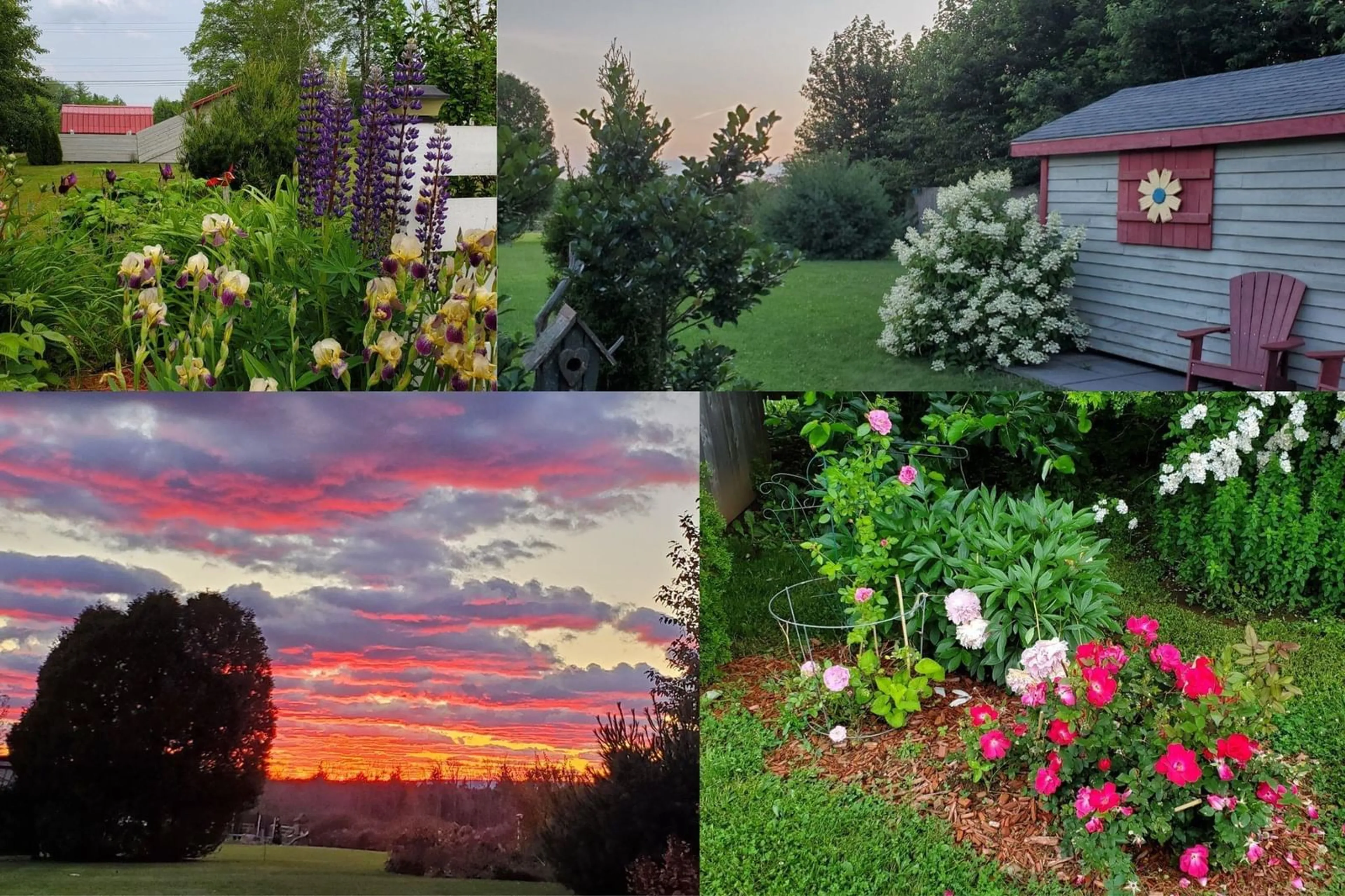 A pic from outside/outdoor area/front of a property/back of a property/a pic from drone, unknown for 595 Tremont Mountain Road, Tremont Nova Scotia B0P 1R0