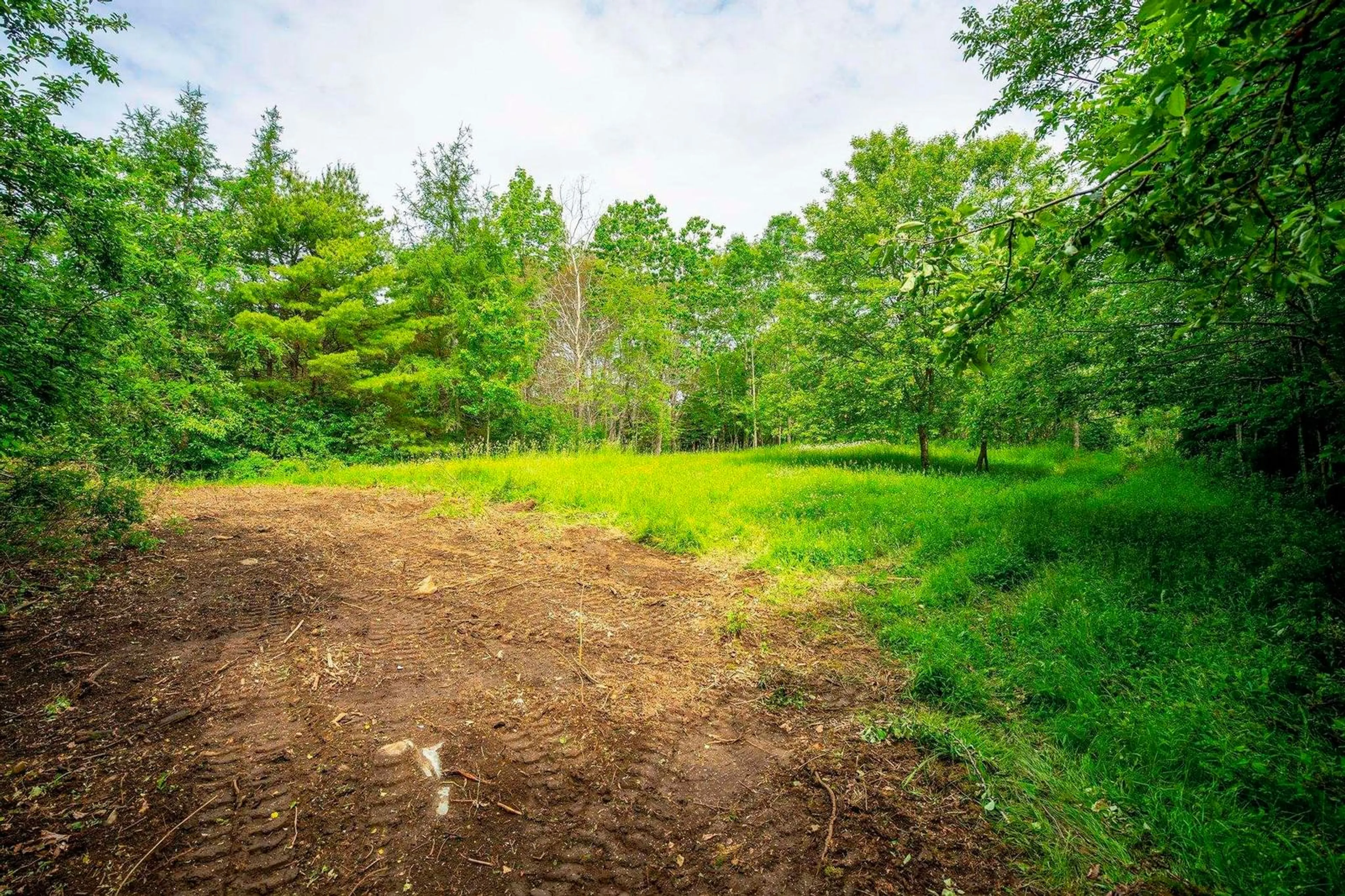 A pic from outside/outdoor area/front of a property/back of a property/a pic from drone, forest/trees view for 903 Weymouth Falls Rd, Weymouth Falls Nova Scotia B0W 3T0