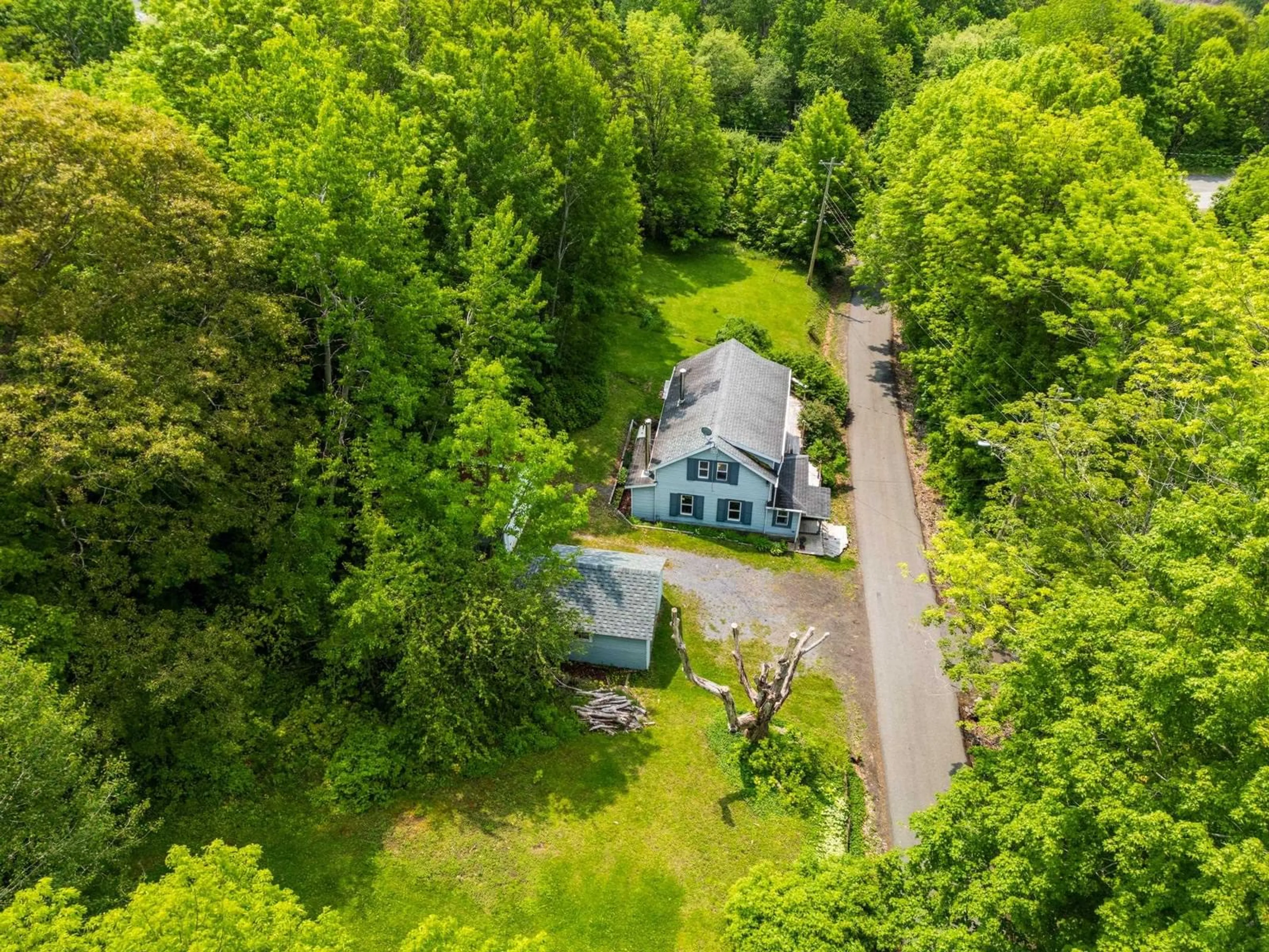 A pic from outside/outdoor area/front of a property/back of a property/a pic from drone, forest/trees view for 14 Cross St, Bear River Nova Scotia B0S 1B0