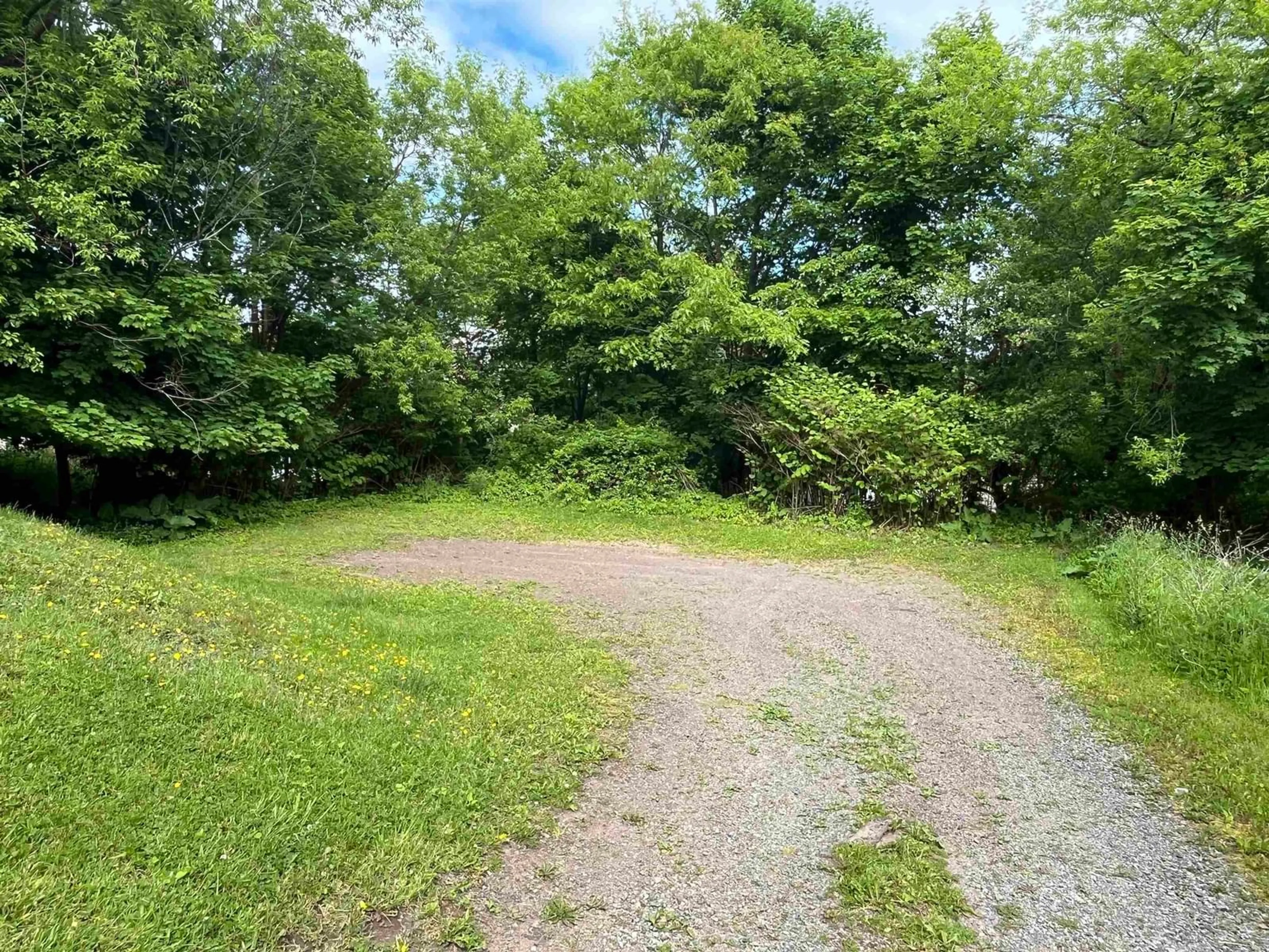A pic from outside/outdoor area/front of a property/back of a property/a pic from drone, forest/trees view for 141 Mackay St, Stellarton Nova Scotia B0K 1S0