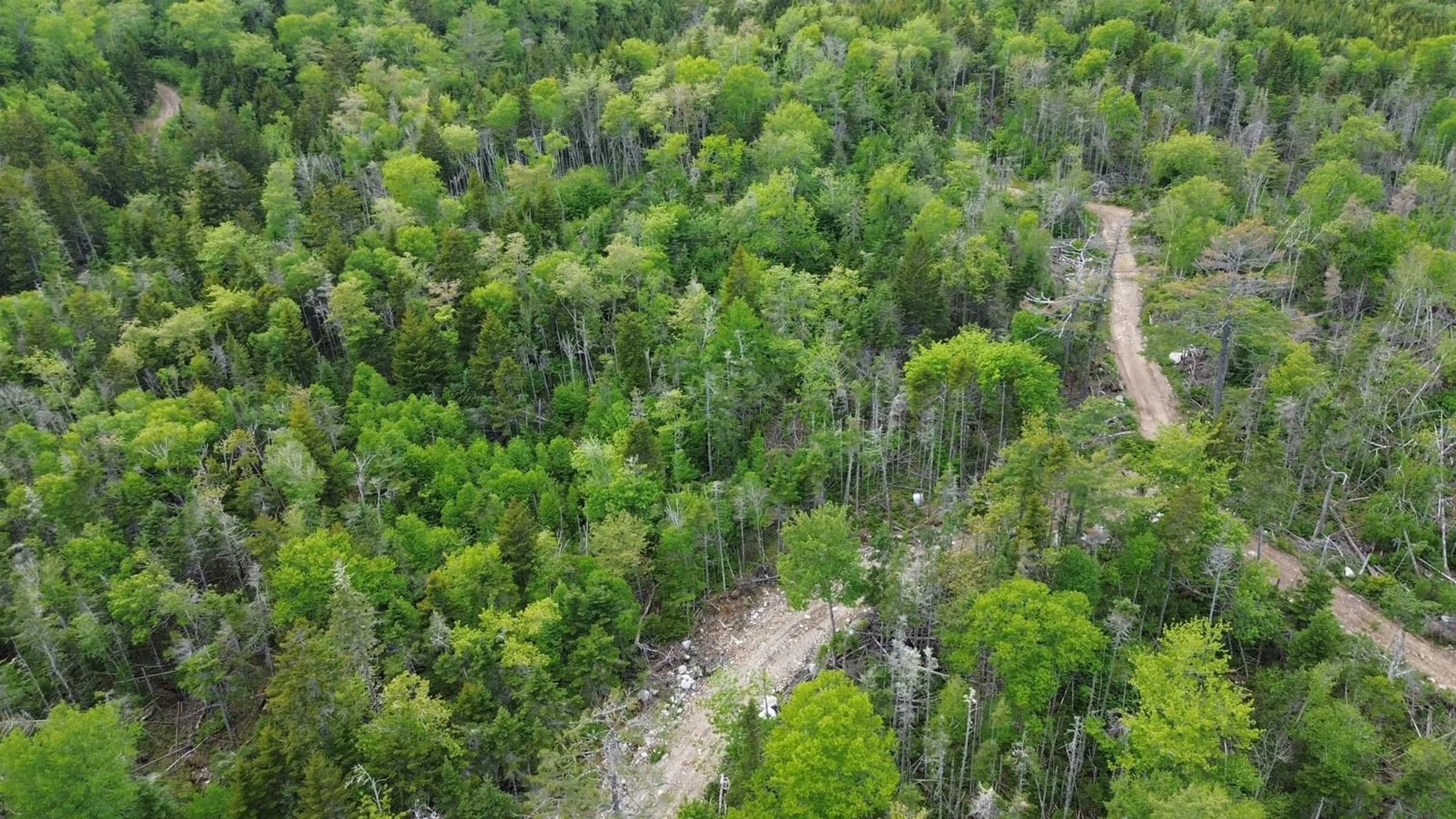 A pic from outside/outdoor area/front of a property/back of a property/a pic from drone, forest/trees view for 1184 Lake Charlotte Water Access Way, Upper Lakeville Nova Scotia B0J 2L0