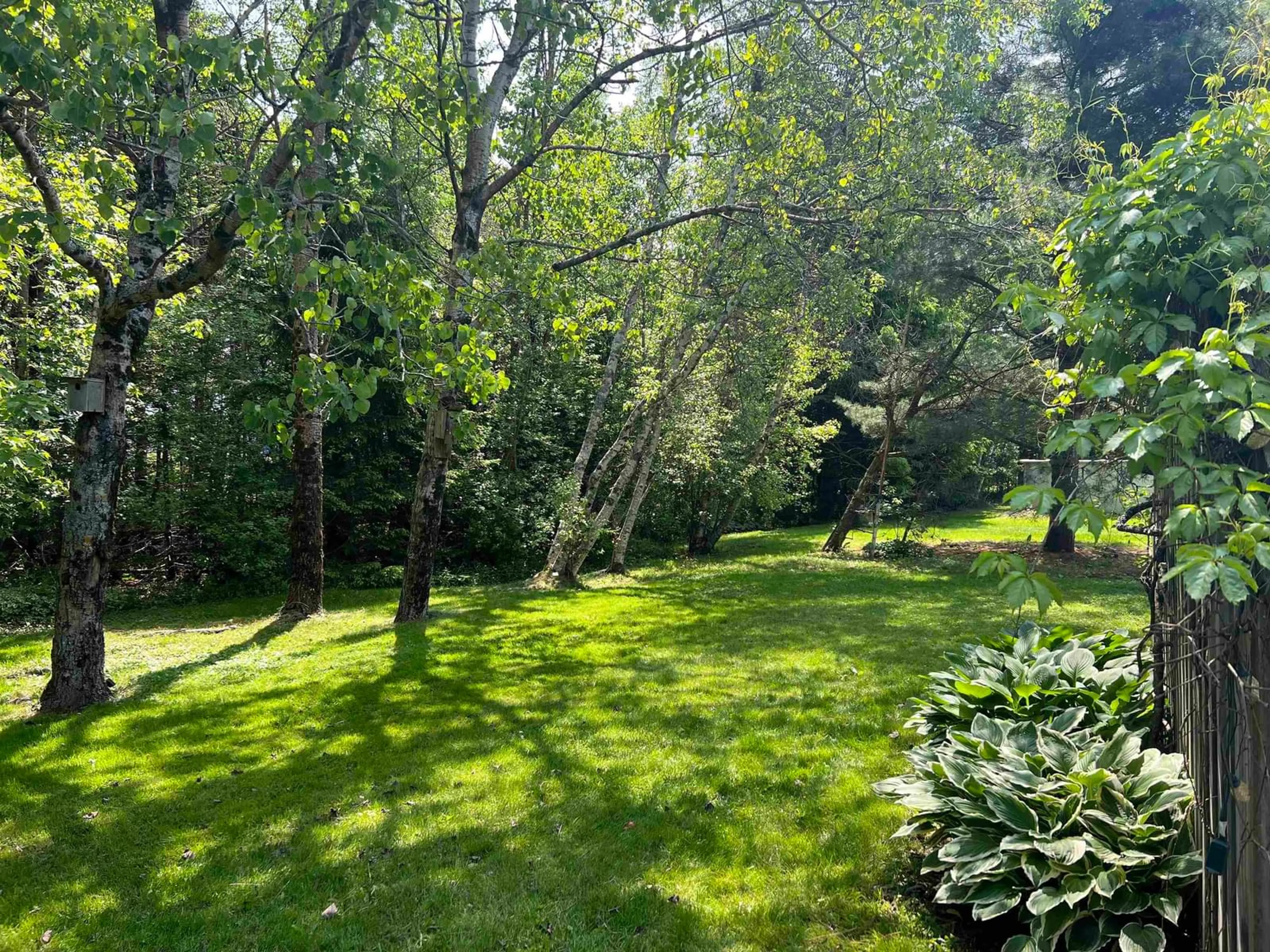 A pic from outside/outdoor area/front of a property/back of a property/a pic from drone, forest/trees view for 98 Oakwood Dr, Truro Heights Nova Scotia B6L 1N4