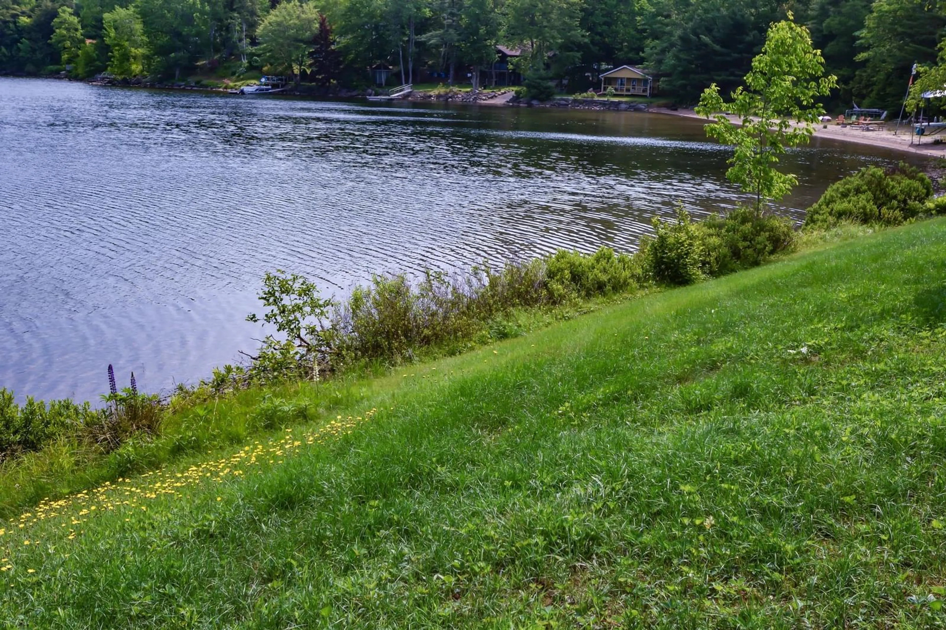 Unknown for 1506 Sweetland Rd, Sweetland Nova Scotia B0J 1E0