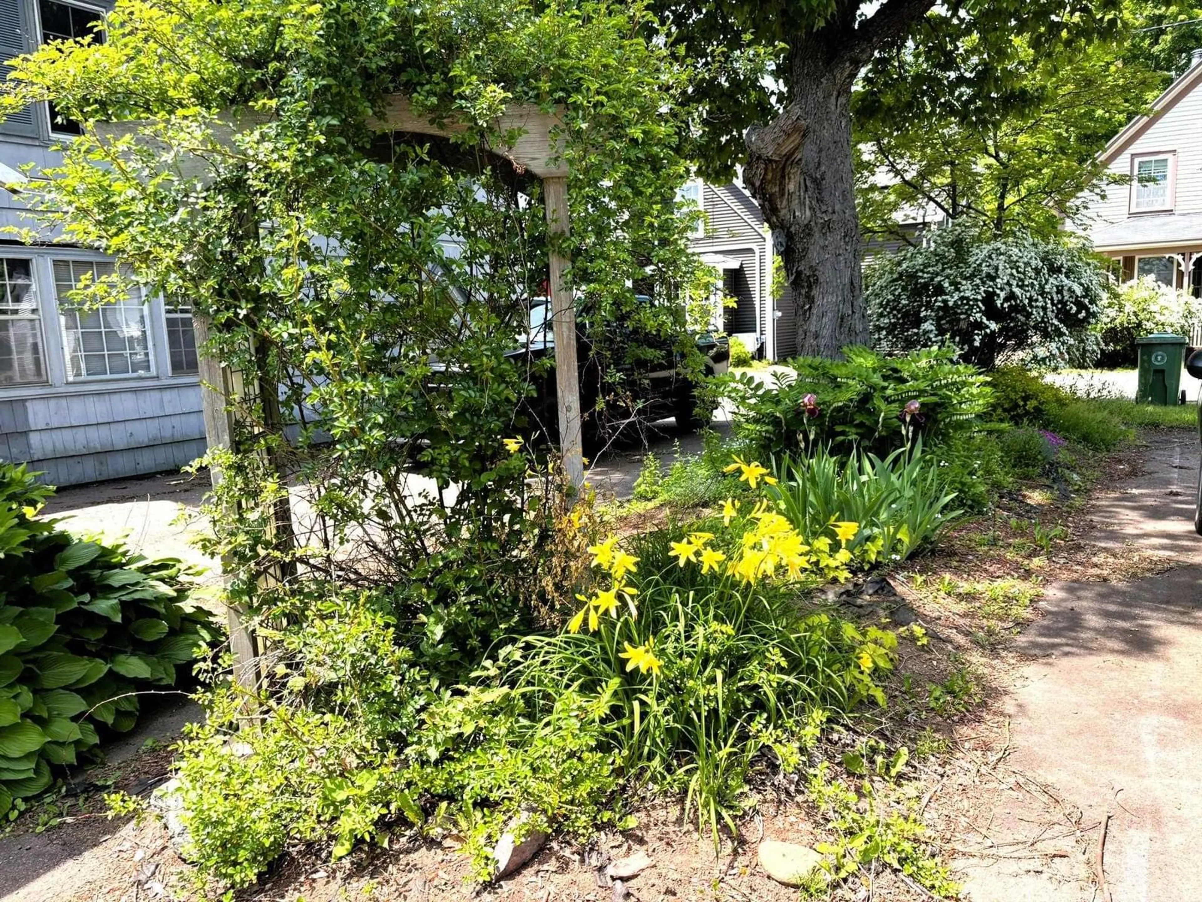 A pic from outside/outdoor area/front of a property/back of a property/a pic from drone, street for 44 Church St, Parrsboro Nova Scotia B0M 1S0