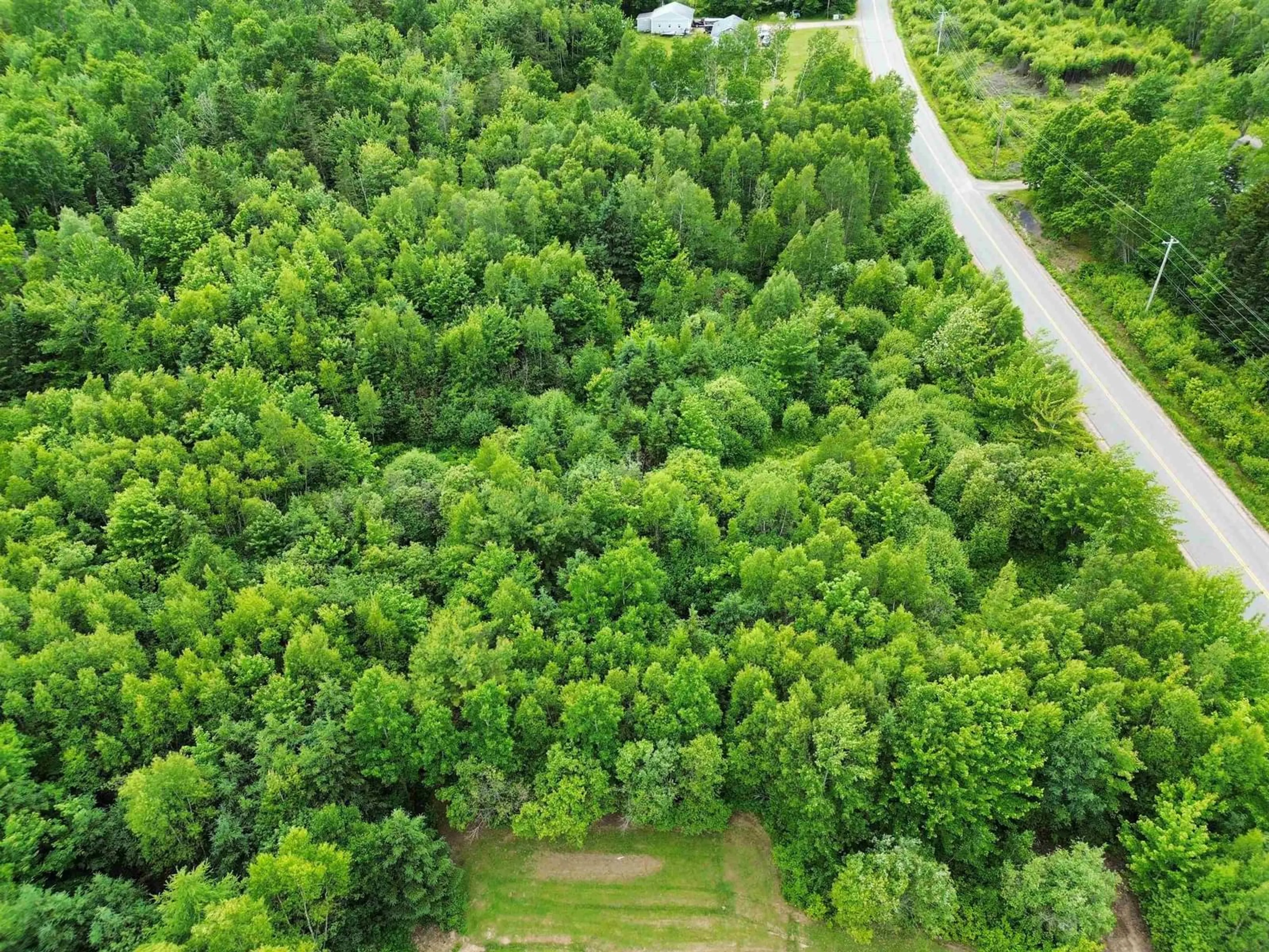 A pic from outside/outdoor area/front of a property/back of a property/a pic from drone, forest/trees view for 594 Mines Rd, Chignecto Nova Scotia B0L 1B0